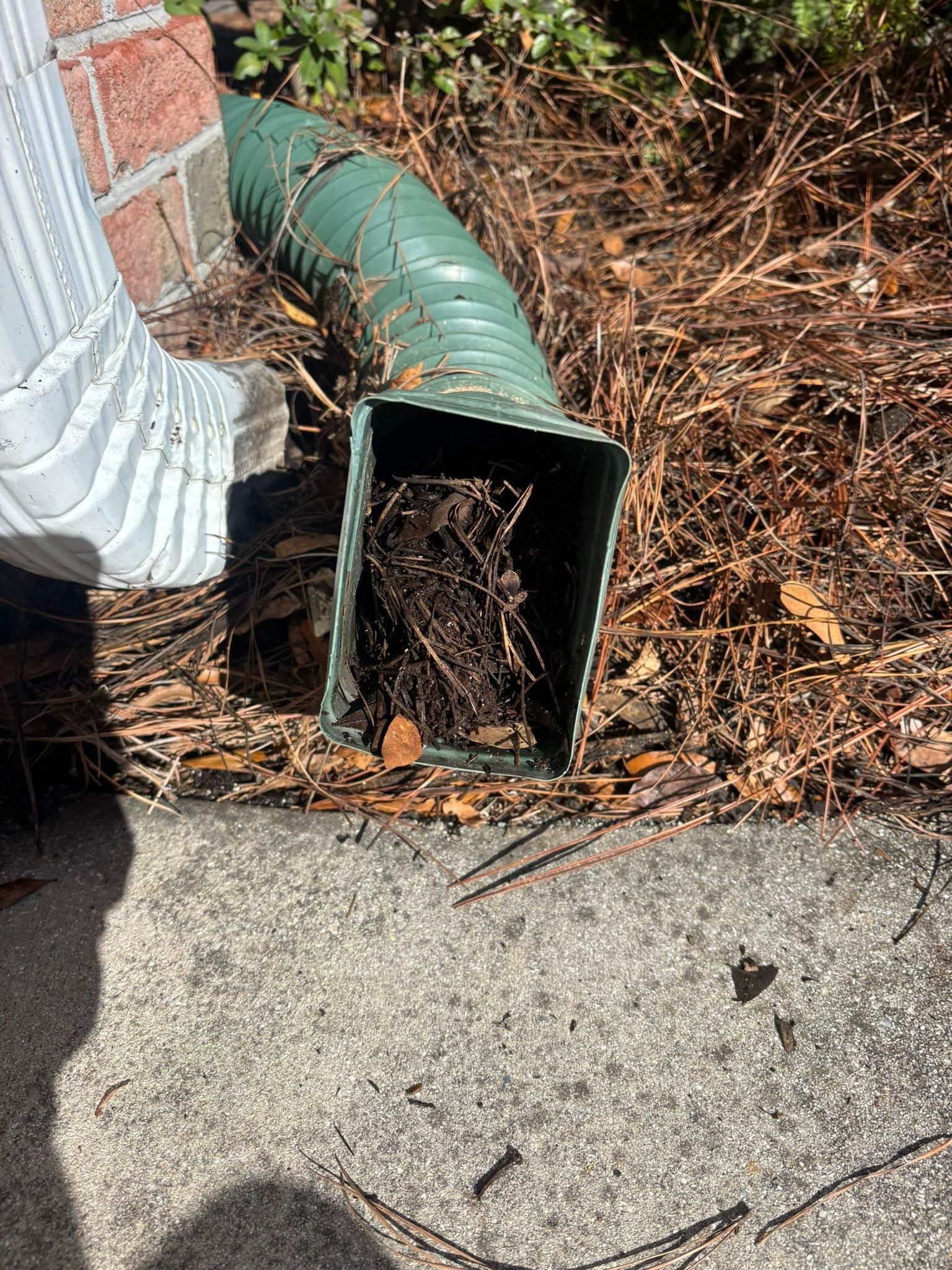  for Living Stream Pressure Washing in Wilmington, NC