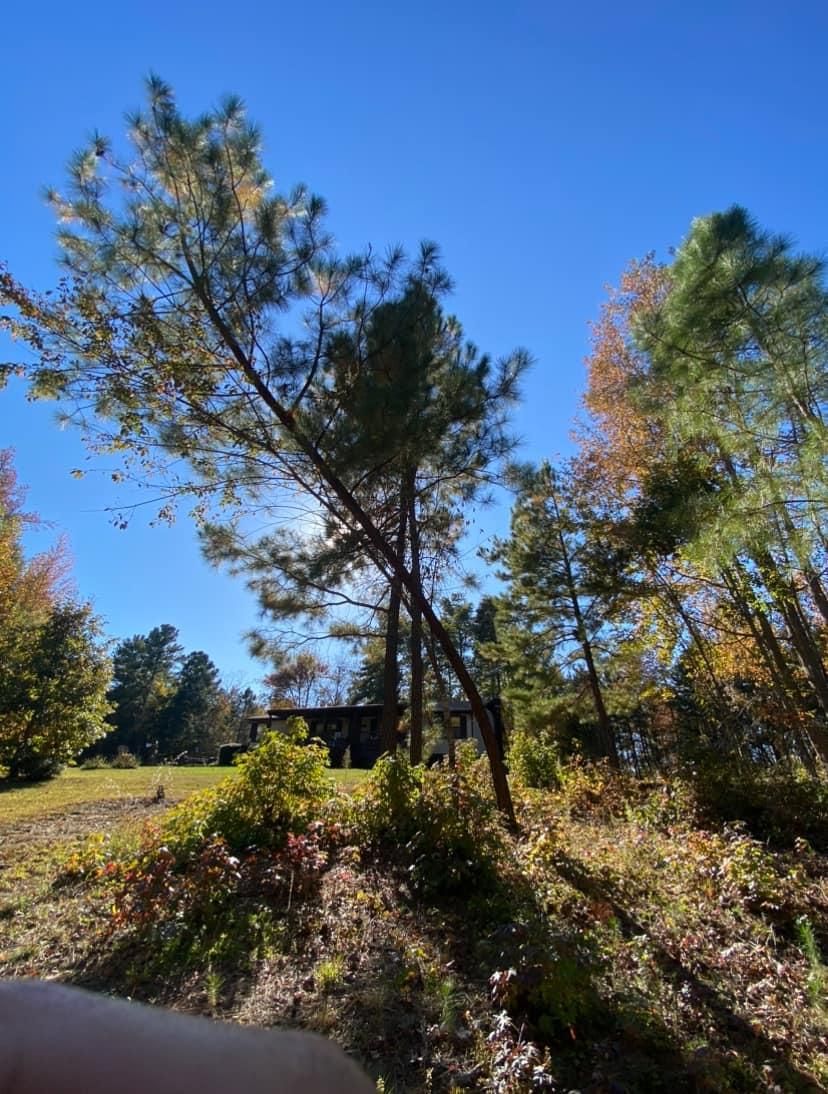  for Ascending Tree Service LLC in Kenbridge, VA