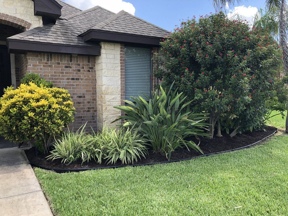  for Pro Lawn Care RGV in McAllen, TX