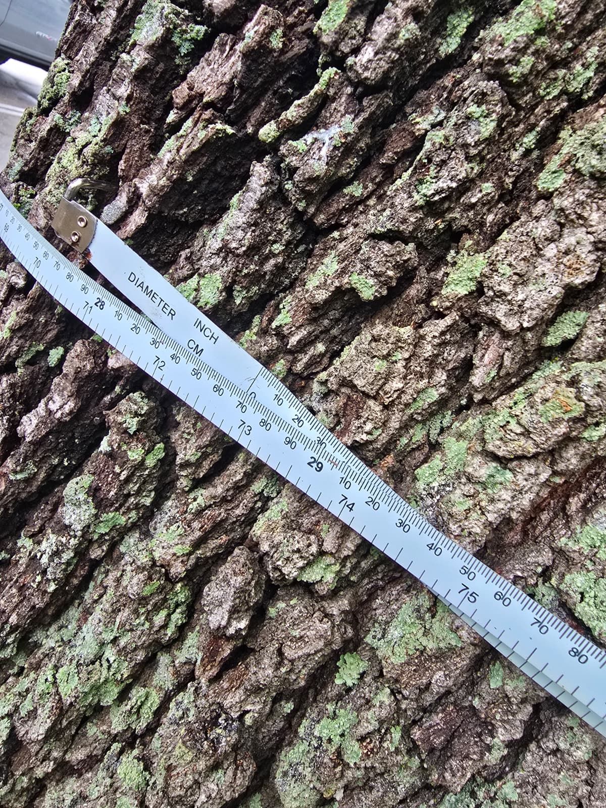  for Bridgewater Arbor Care LLC in Jupiter, FL