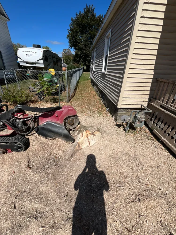 All Photos for Licensed to Cut Tree Service in Athens, PA