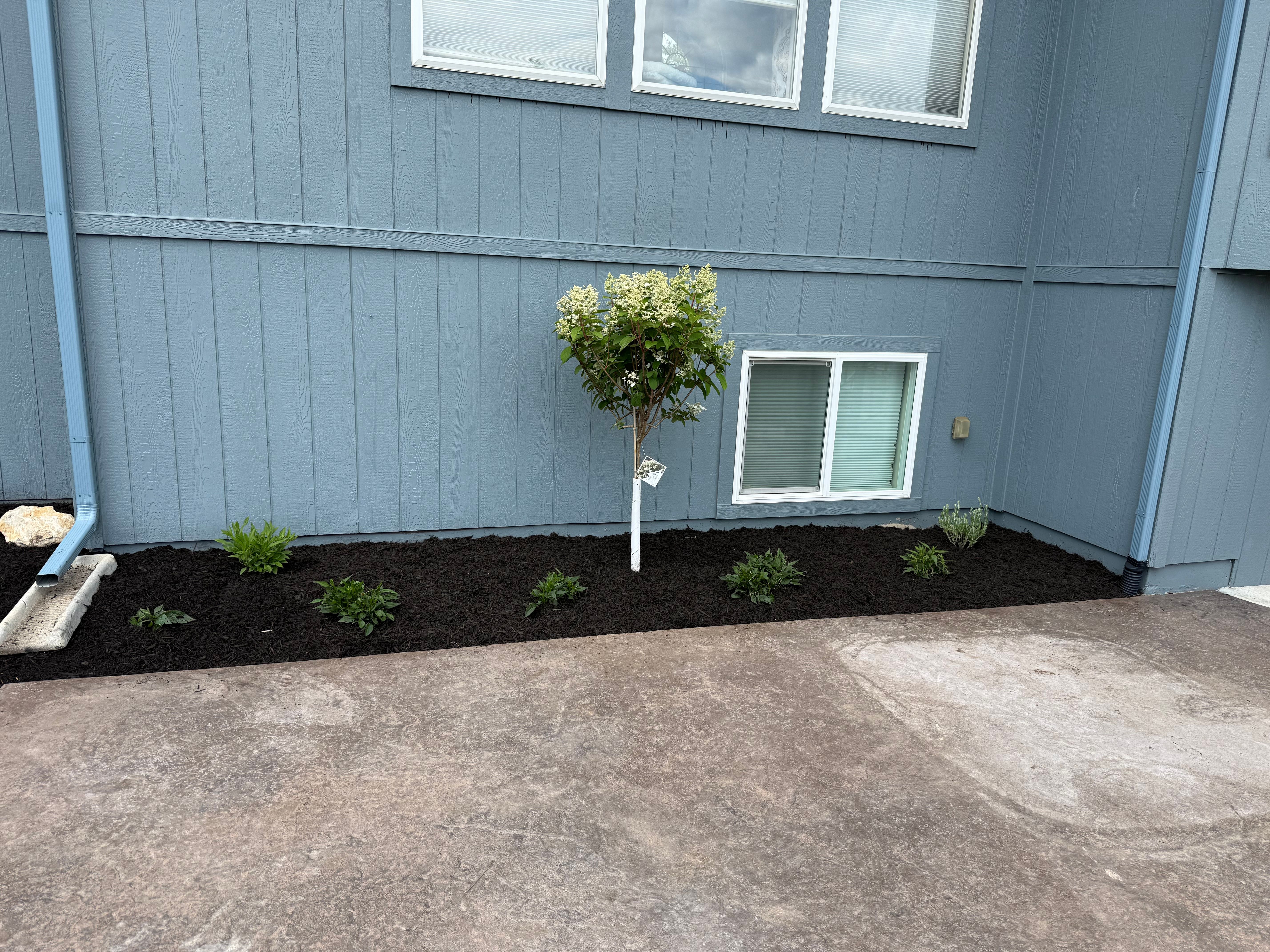  for Elite Lawn Care Solutions in Leavenworth, KS