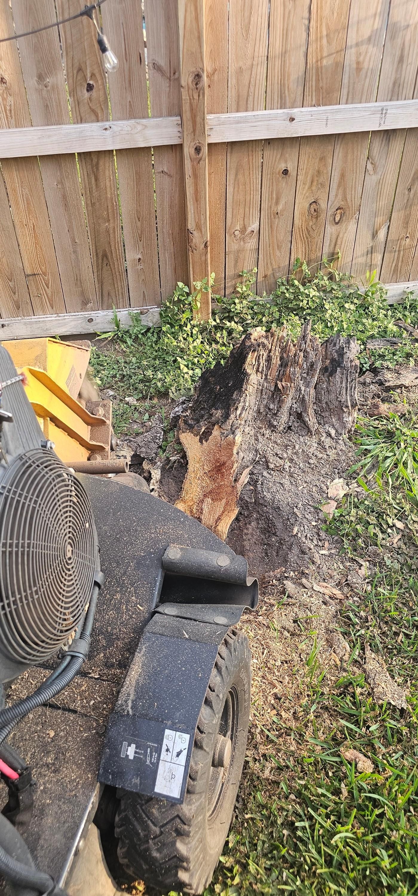  for Servin's Tree Care  in Houston, TX