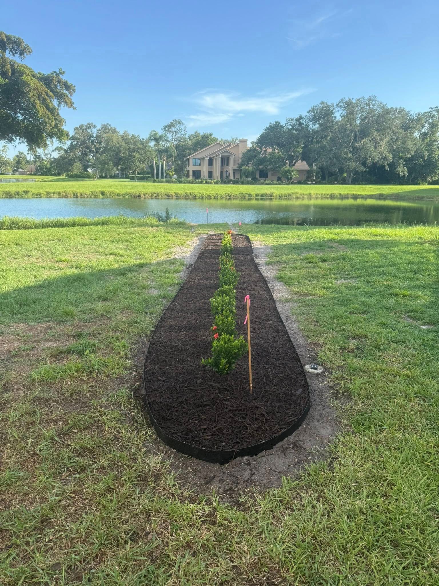  for Damian’s Tree Care in Sarasota, FL