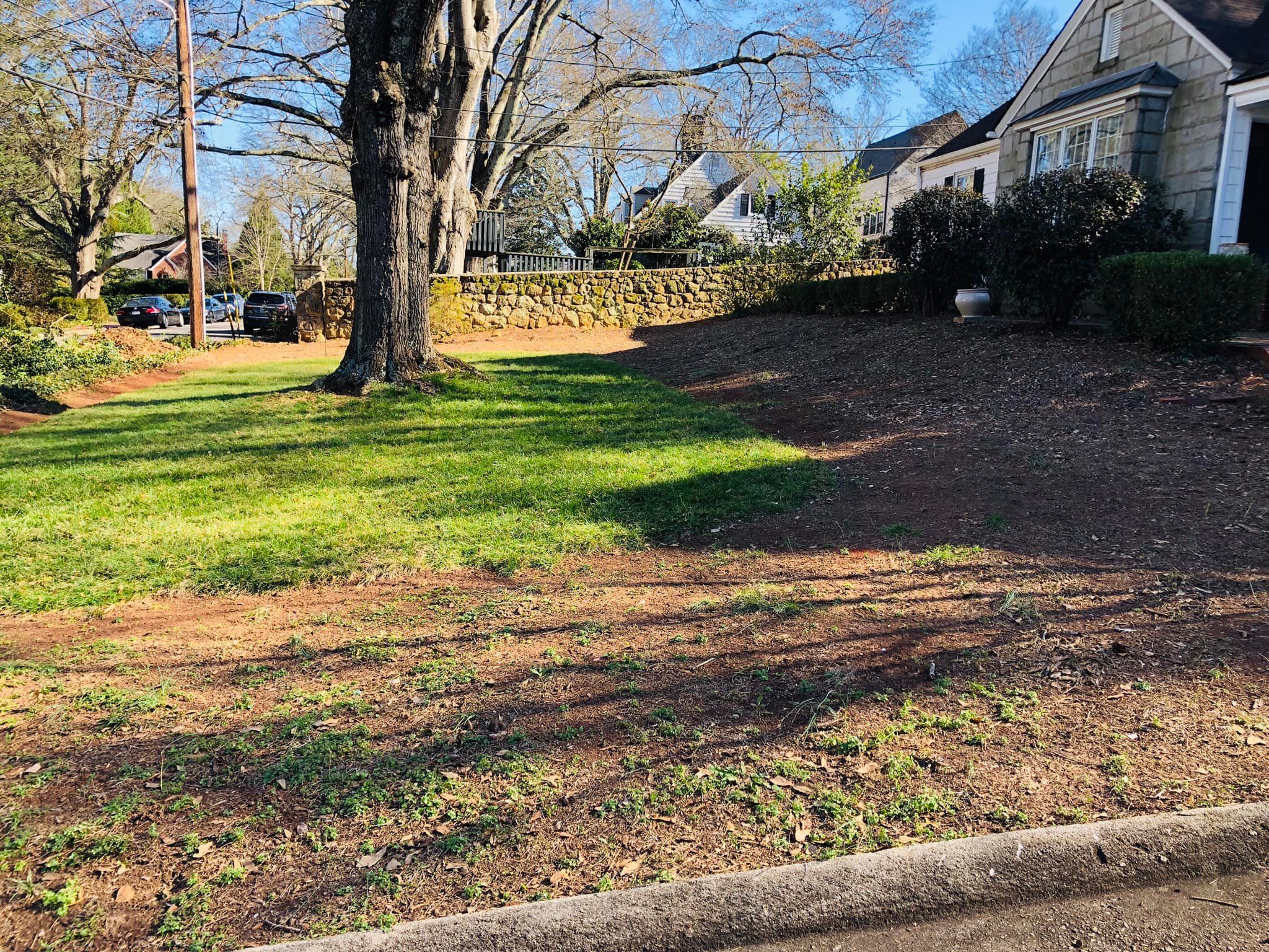  for Down To Earth Tree and Landscaping in Greenville, SC