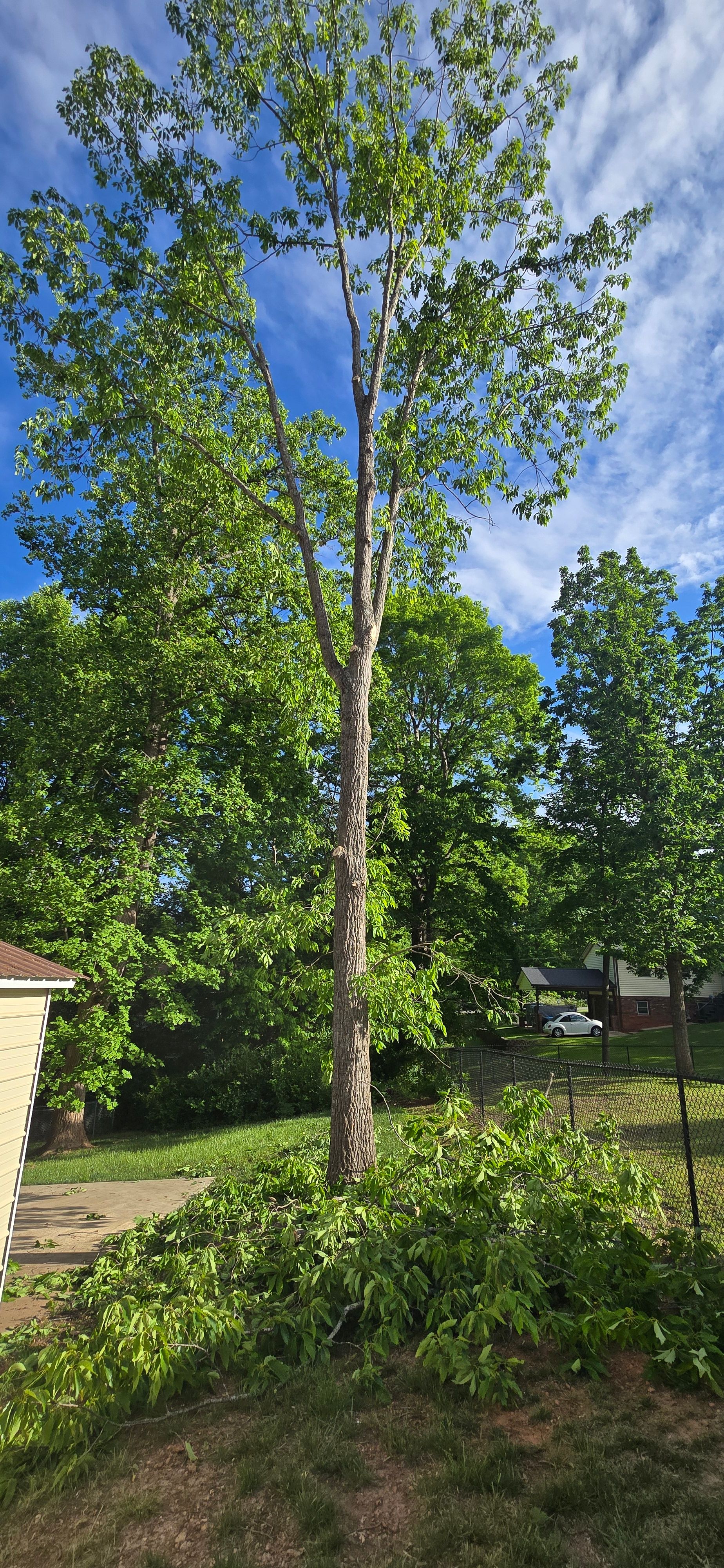  for Platinum Outdoor Services LLC in Conover, NC