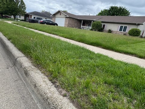  for Daugherty's Tough Lawn Care in Essexville, MI