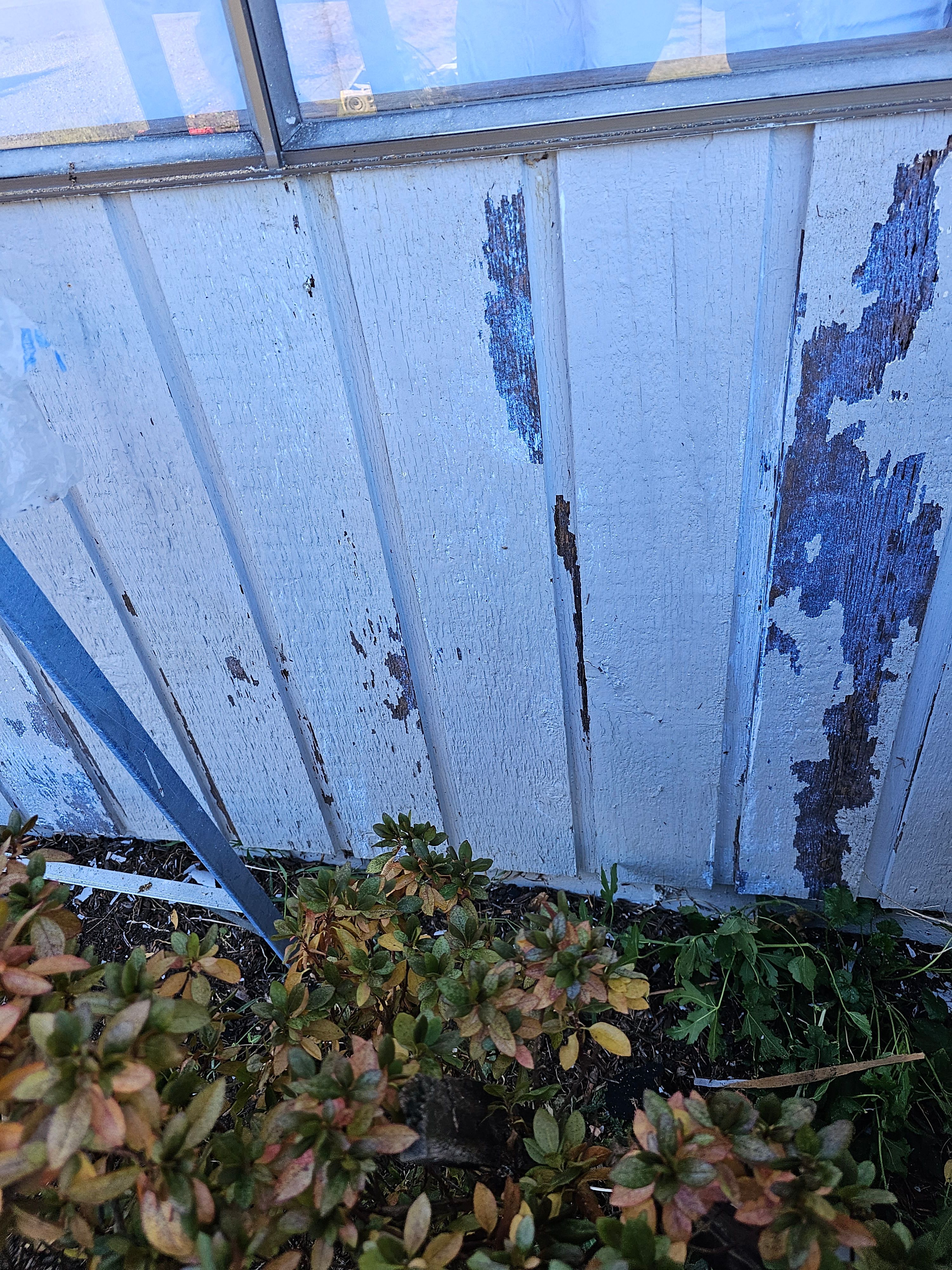  for Home Pros in Maple Falls, WA