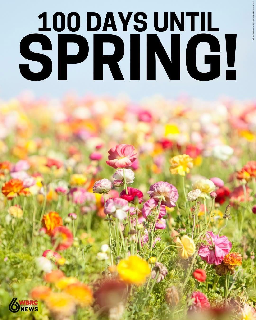  for Greenwood Lawn & Landscaping LLC in Talladega, Alabama