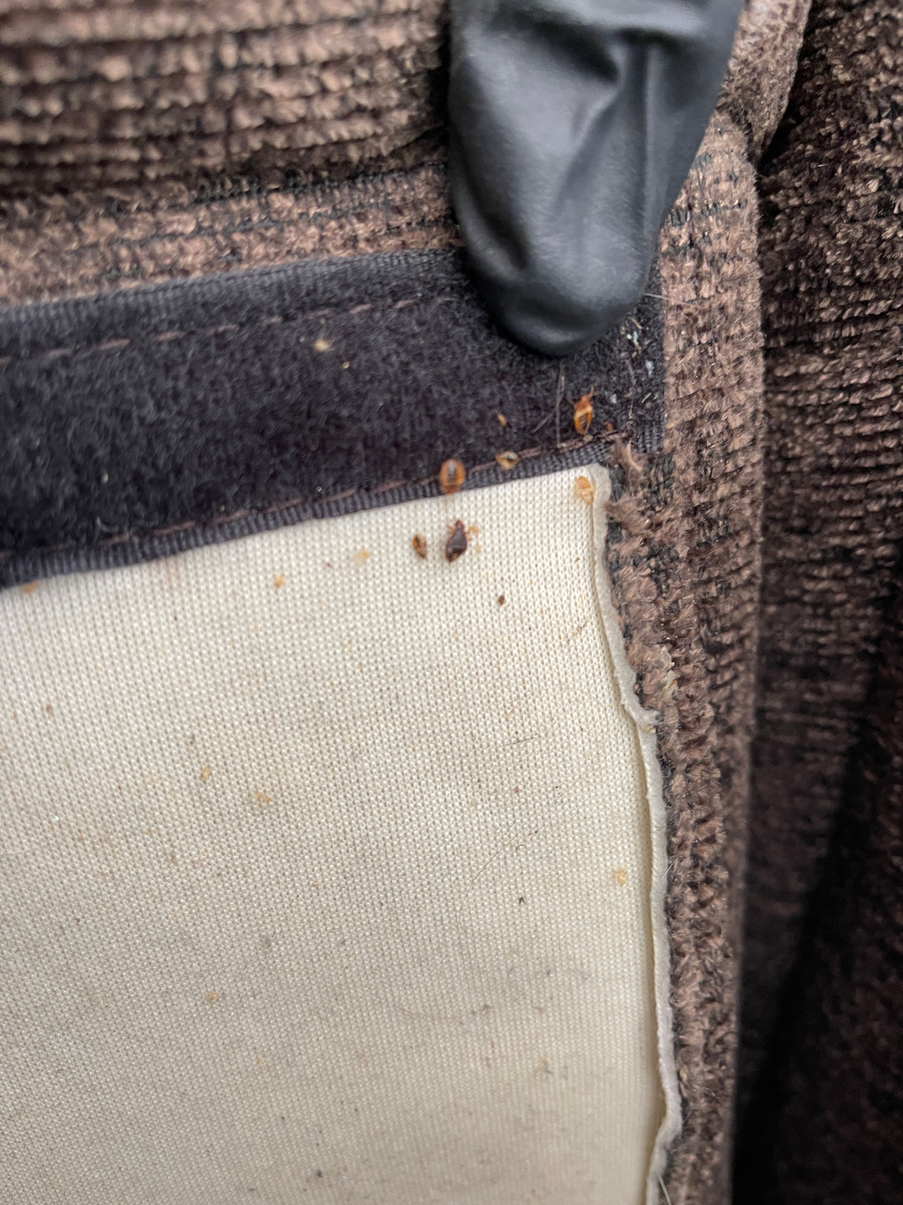  for All-In Pest Control & Home Solutions in Greene County, IN