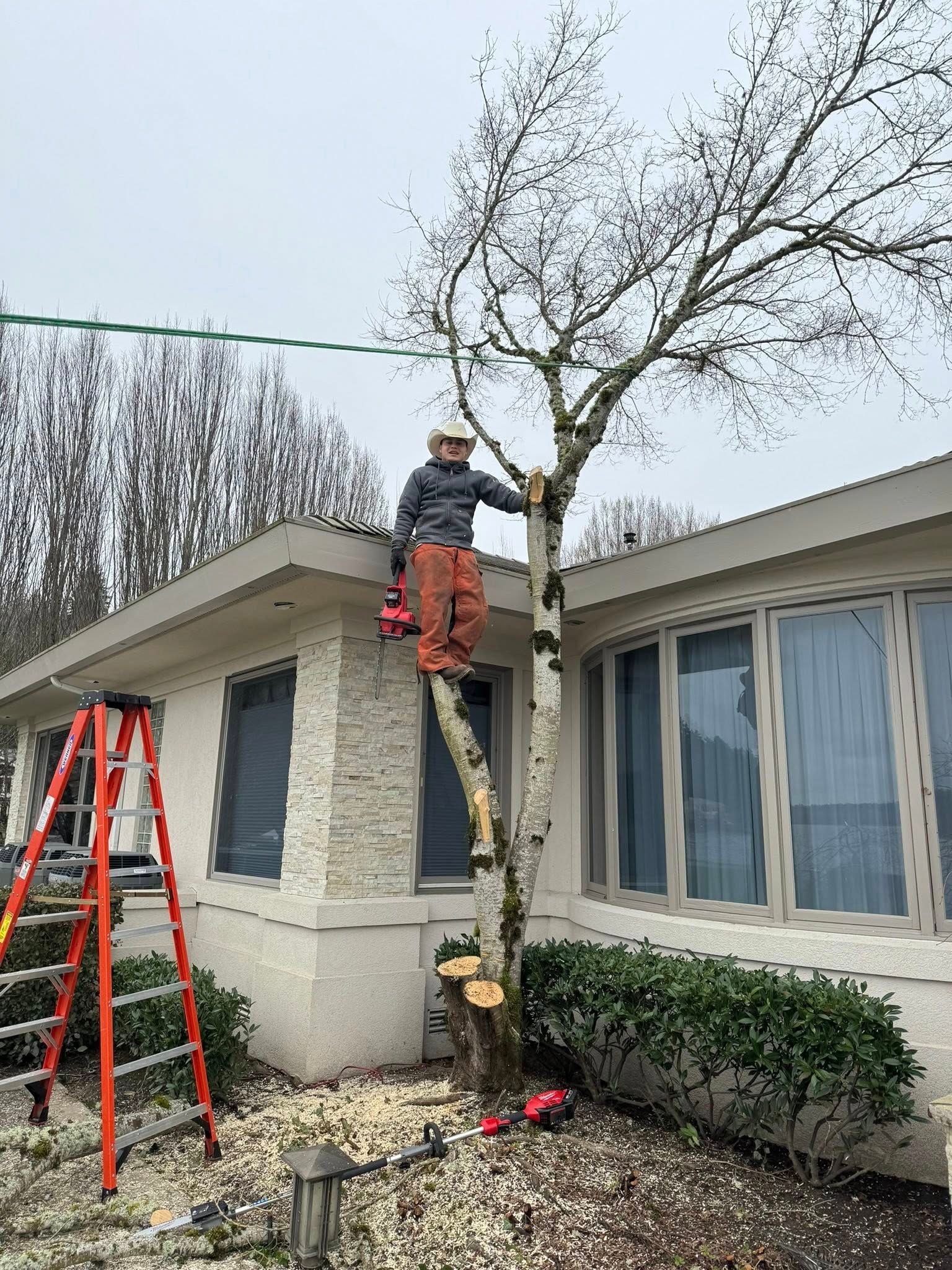 All Photos for Teo’s Property Maintenance and Solutions in Redmond, WA