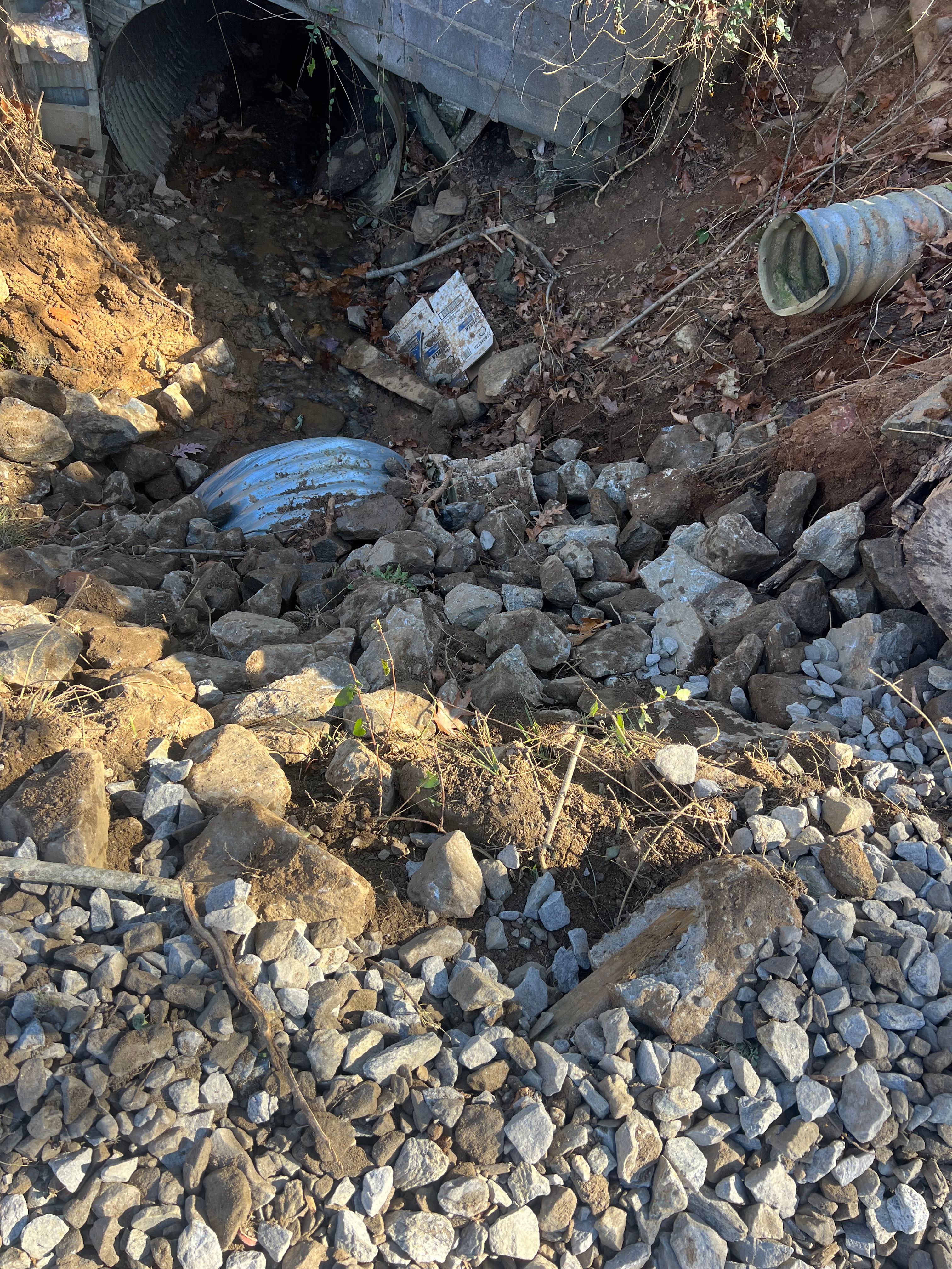  for Ground To Sky Tree Care in Asheville, North Carolina