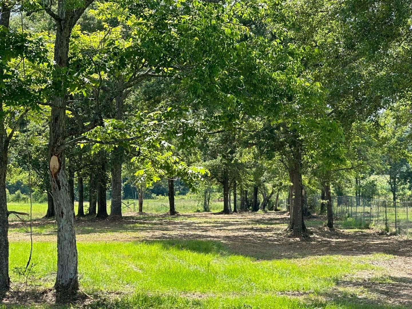  for White’s Land Maintenance in Milton,, FL