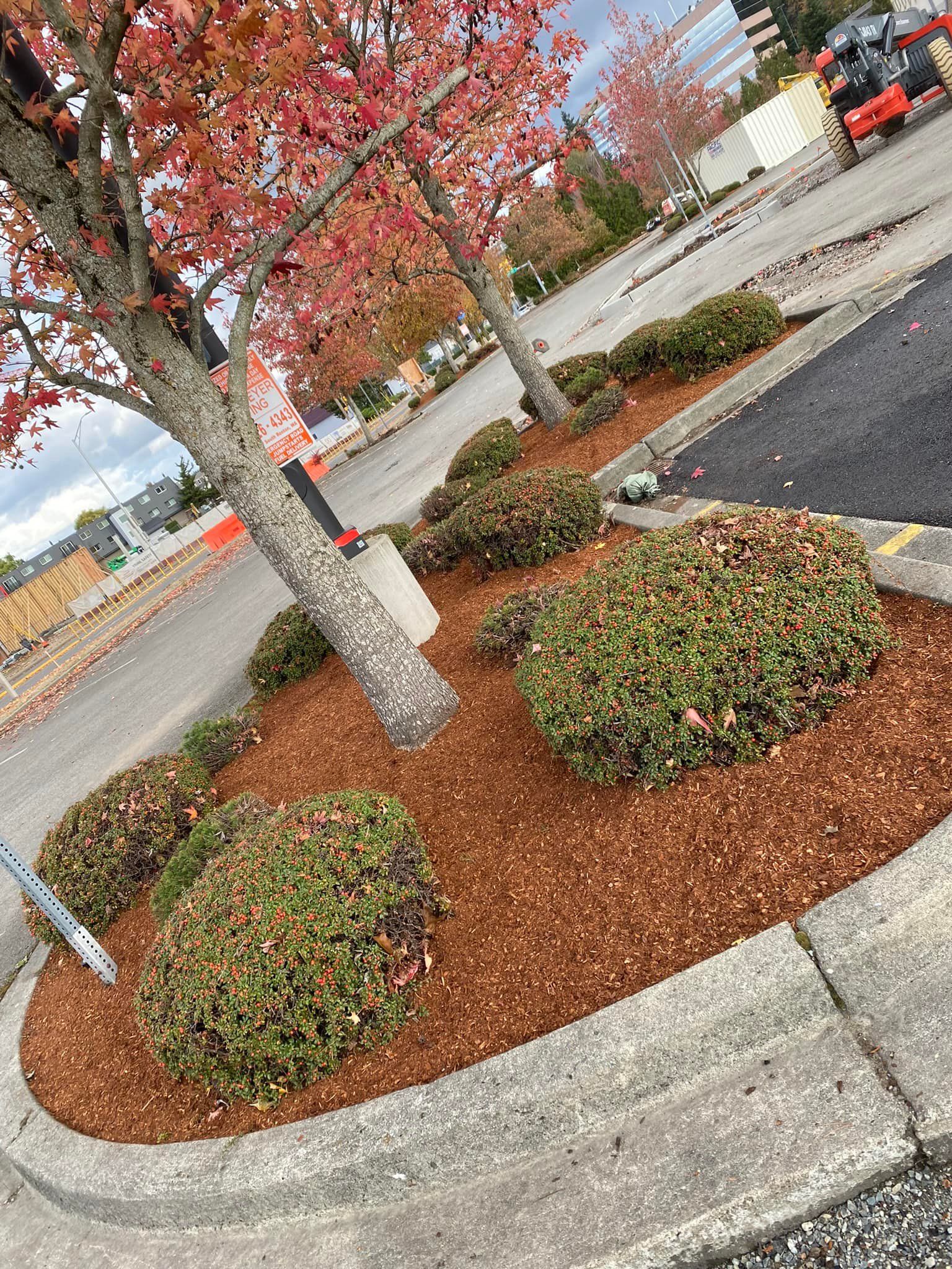  for Family Landscaping & Irrigation in Auburn, WA