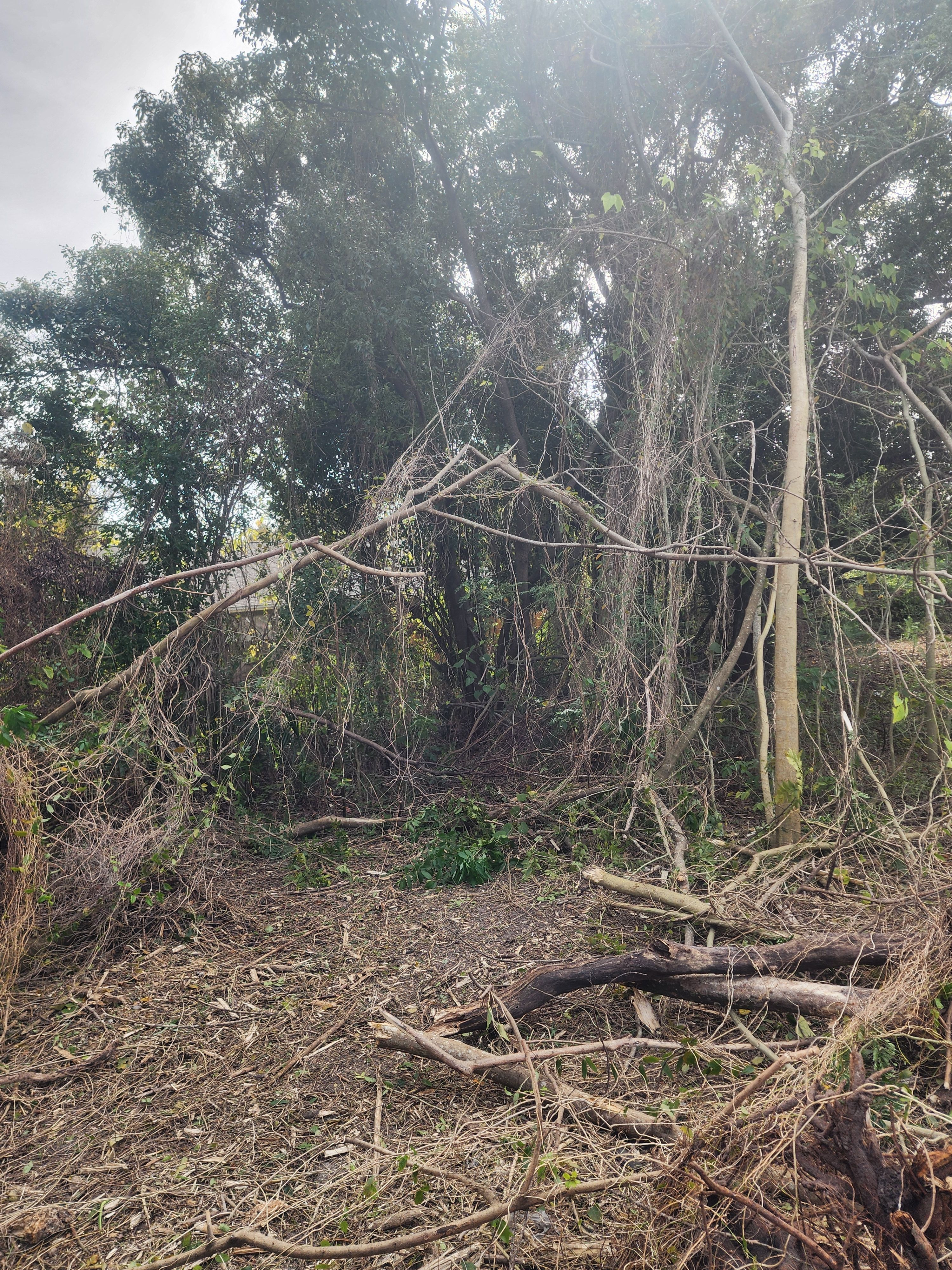  for Powell Environmental Services in Deltona, FL