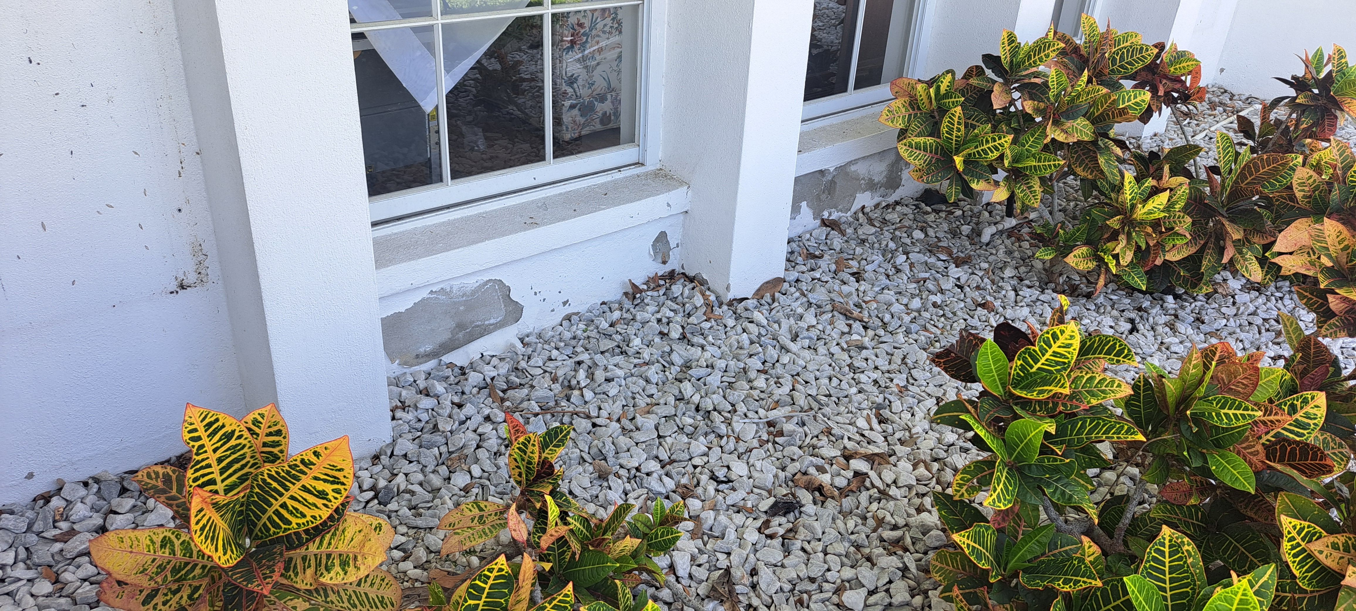  for Perfection Custom Painting LLC in Port Charlotte, FL