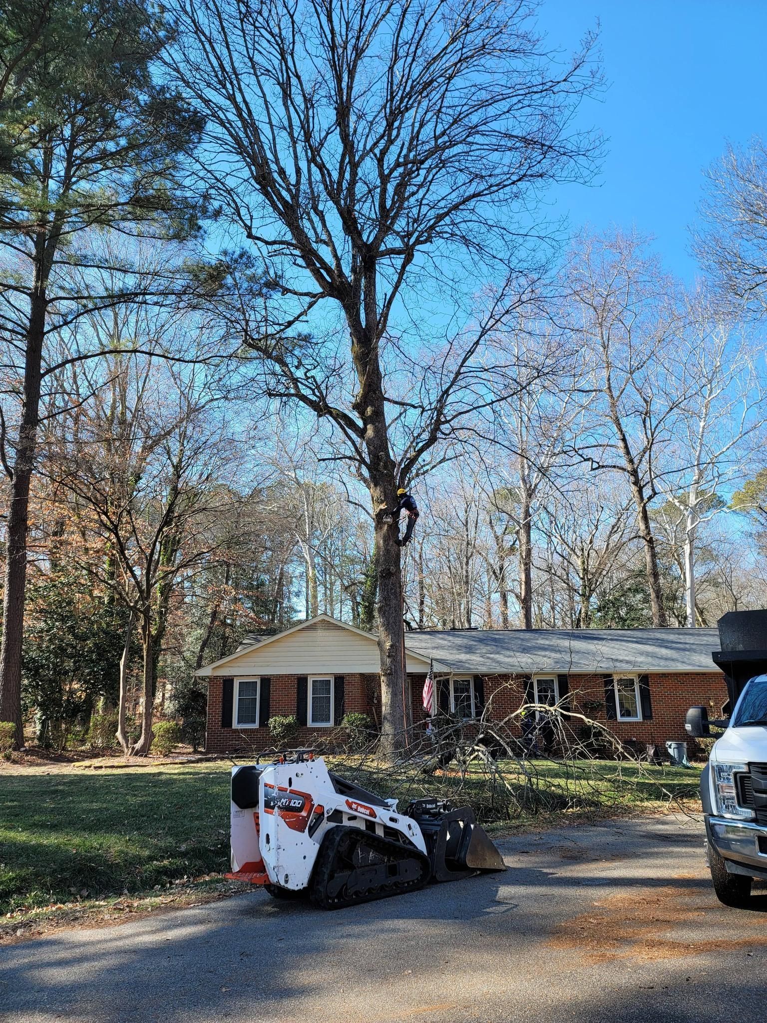  for Integrity Tree and Landscaping in Lynchburg, VA