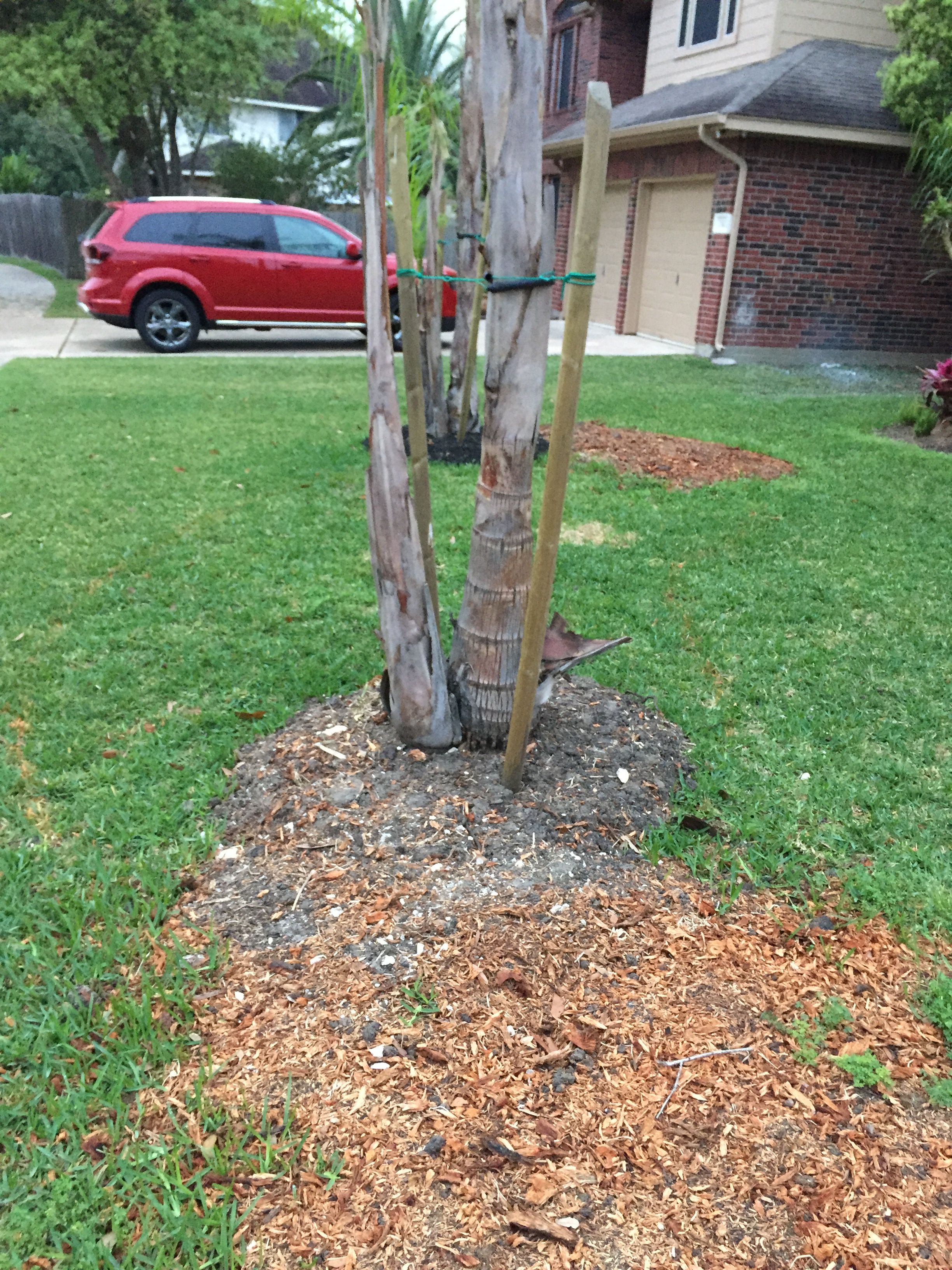  for Texas Curb N Borders in Houston, TX