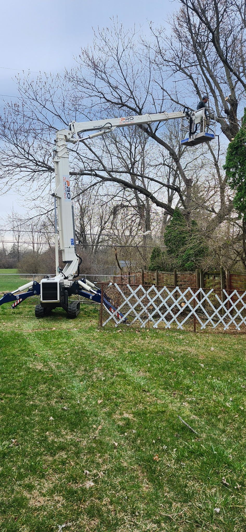 All Photos for Pro Tree Trim & Removal, Llc in Dayton, OH