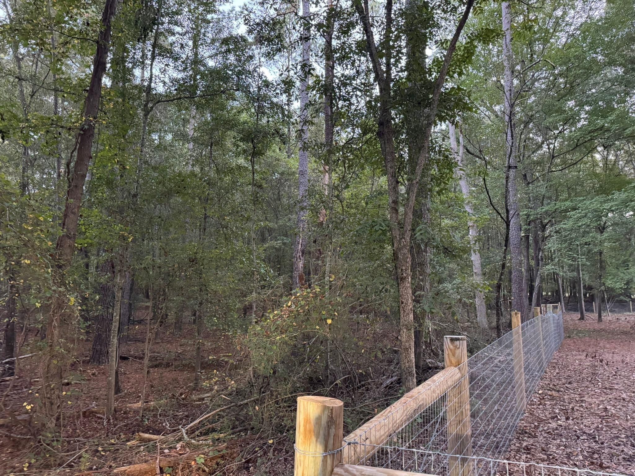  for KLNAX Enterprises in Newton County, GA