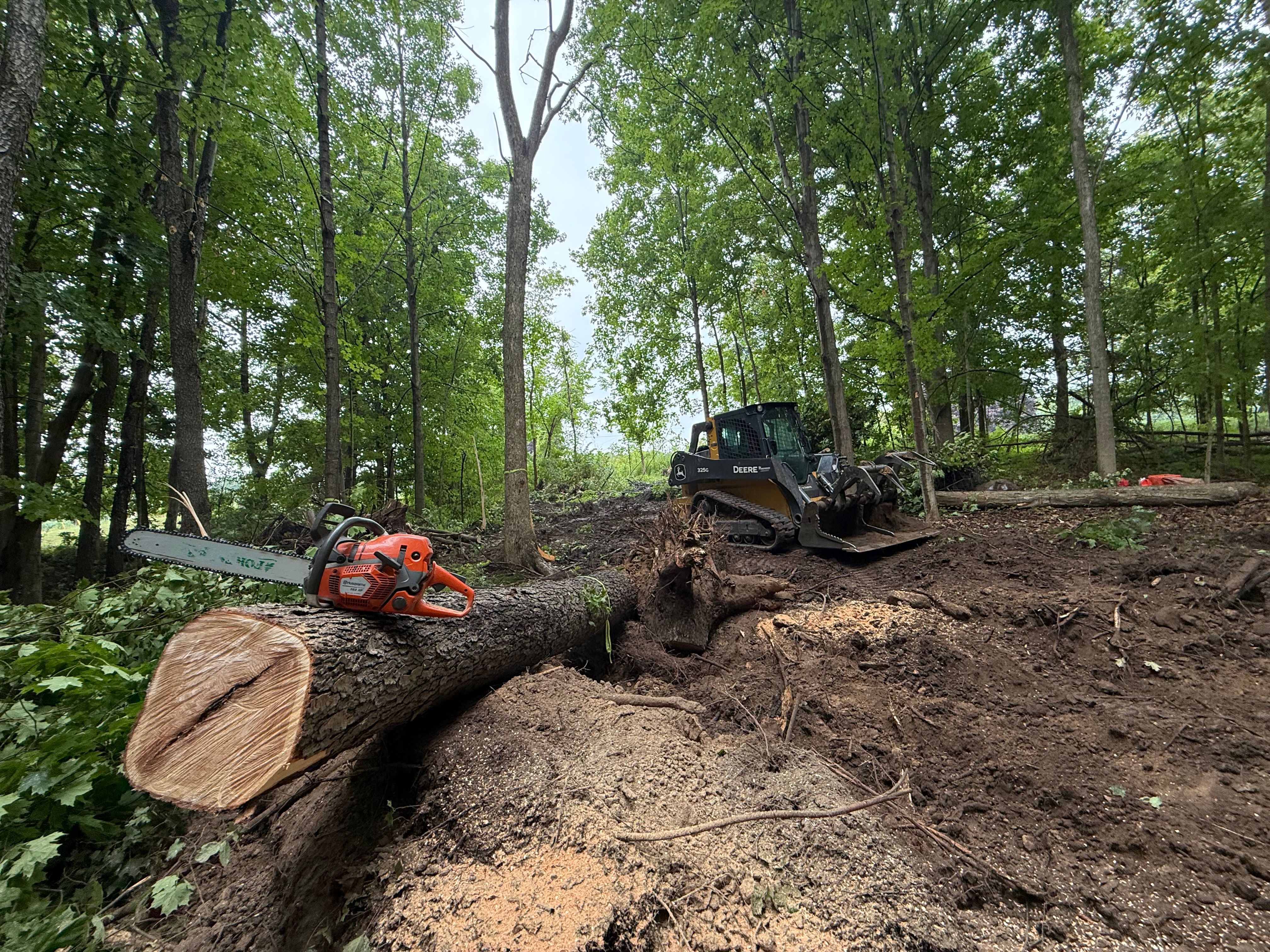  for Palmer Property Services in Middleville, MI
