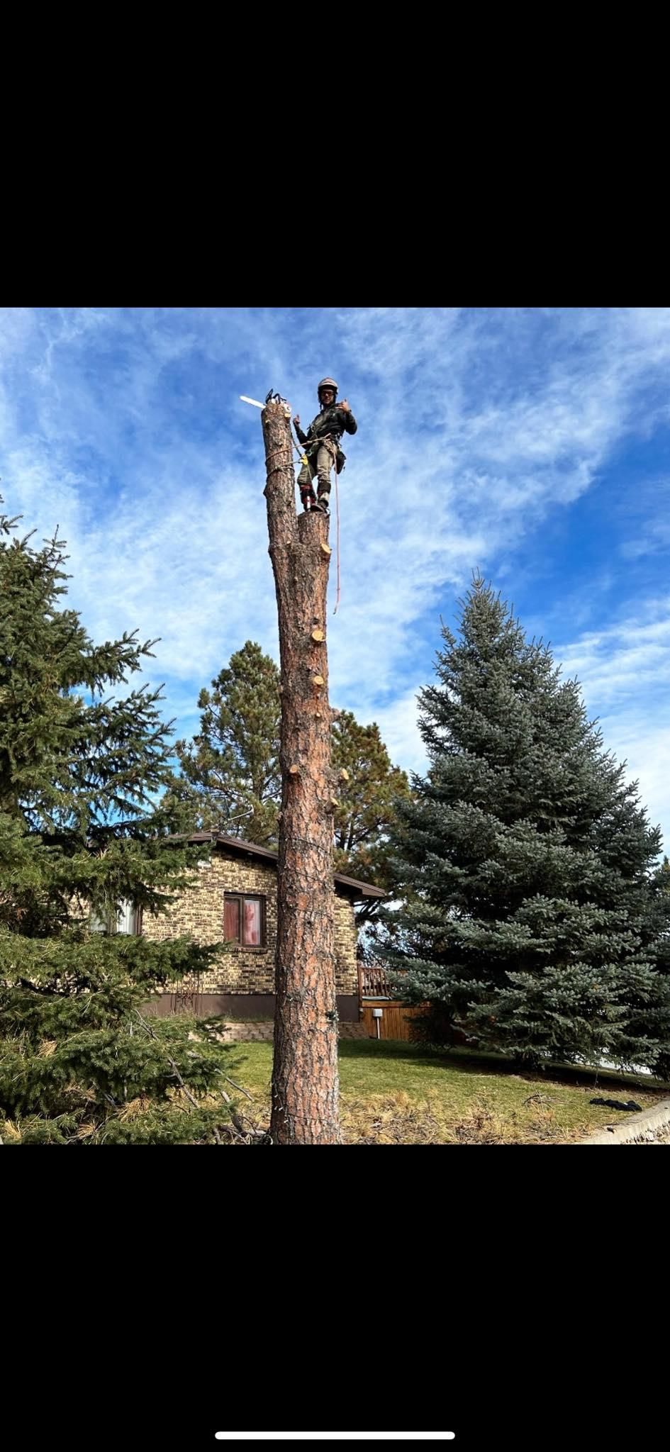  for Clean Cut Tree Service in Gillette, WY