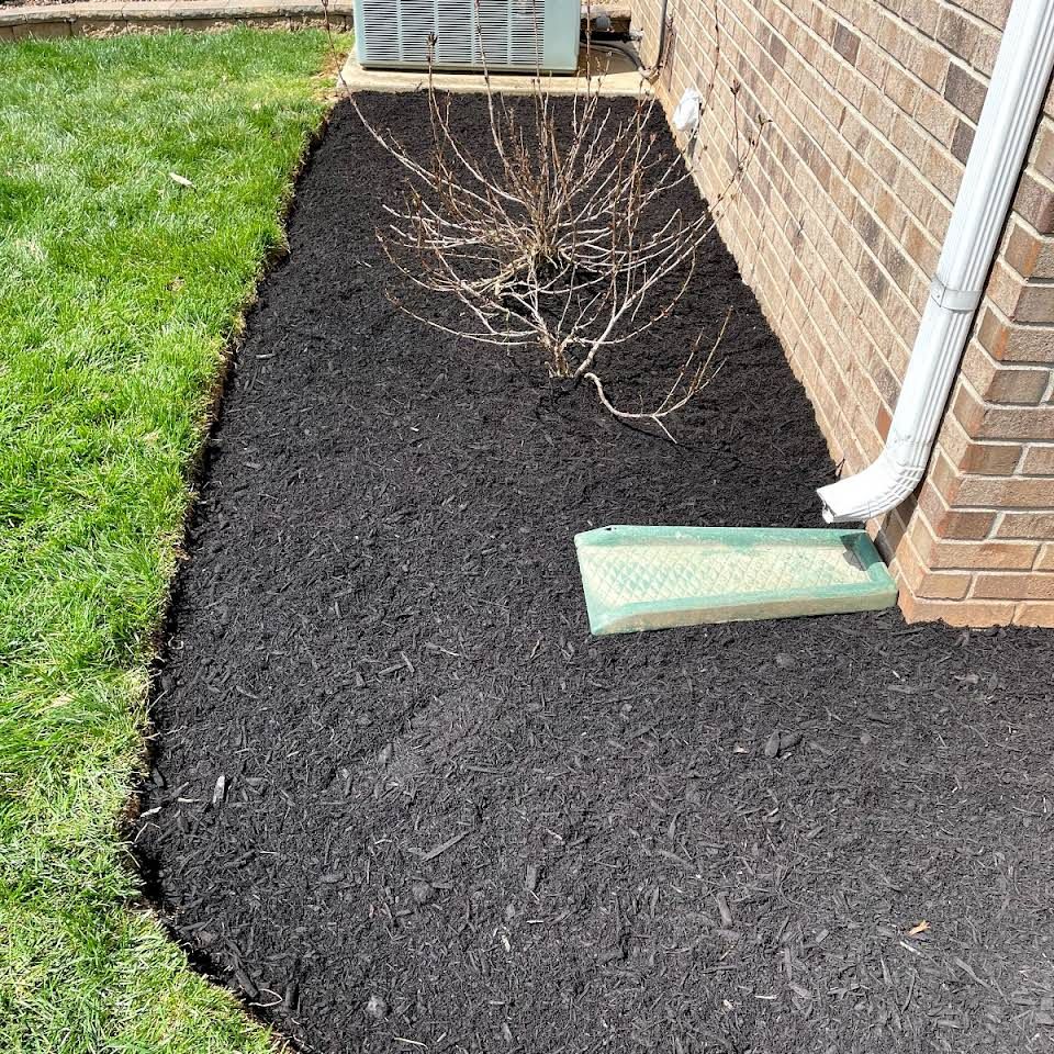 All Photos for Transforming Landscaping & Tree Service in Bowling Green, KY