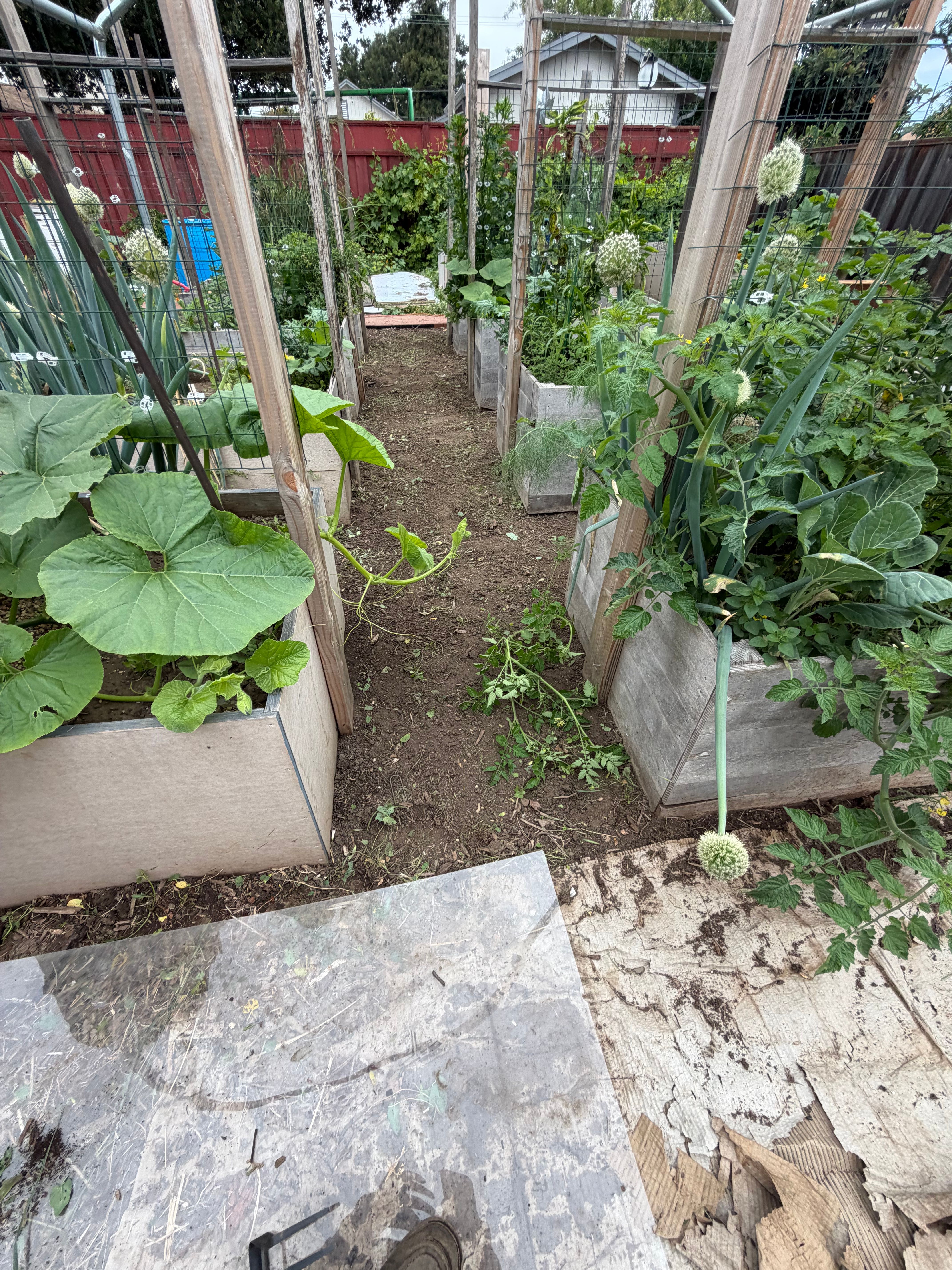  for CBA Landscaping in Hayward, CA