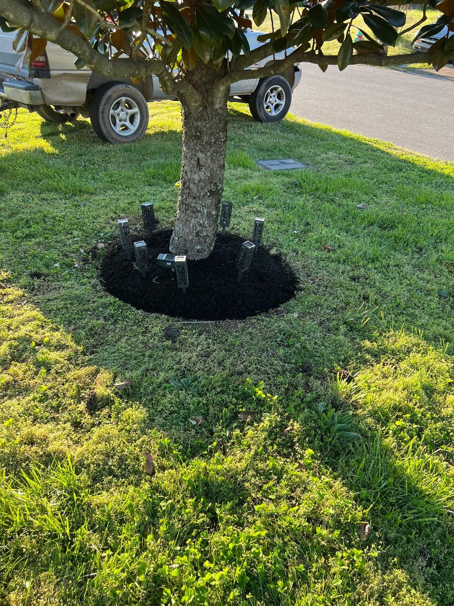  for Grass Management in Nashville, TN