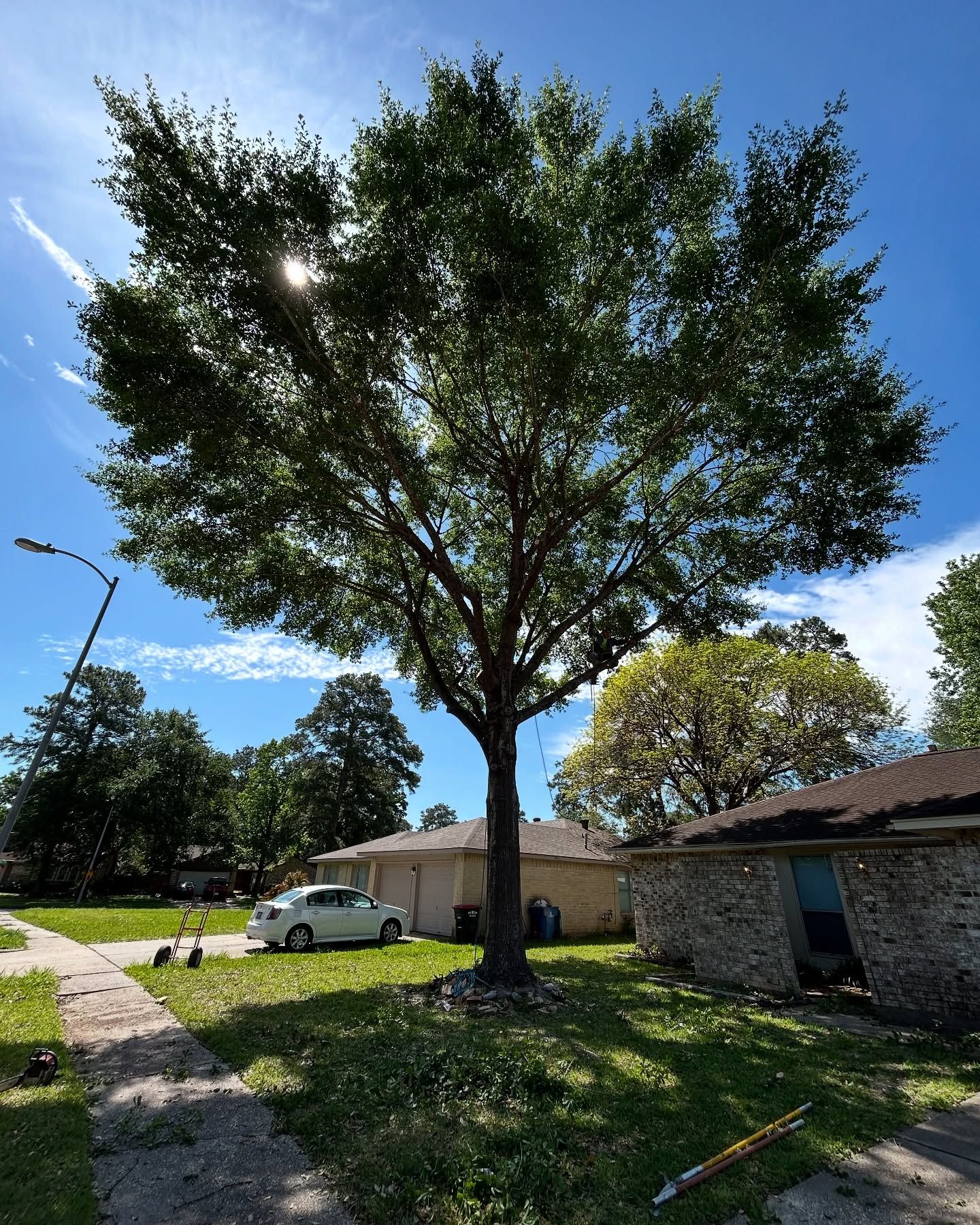  for C&B Ramos Tree Service in Houston, TX