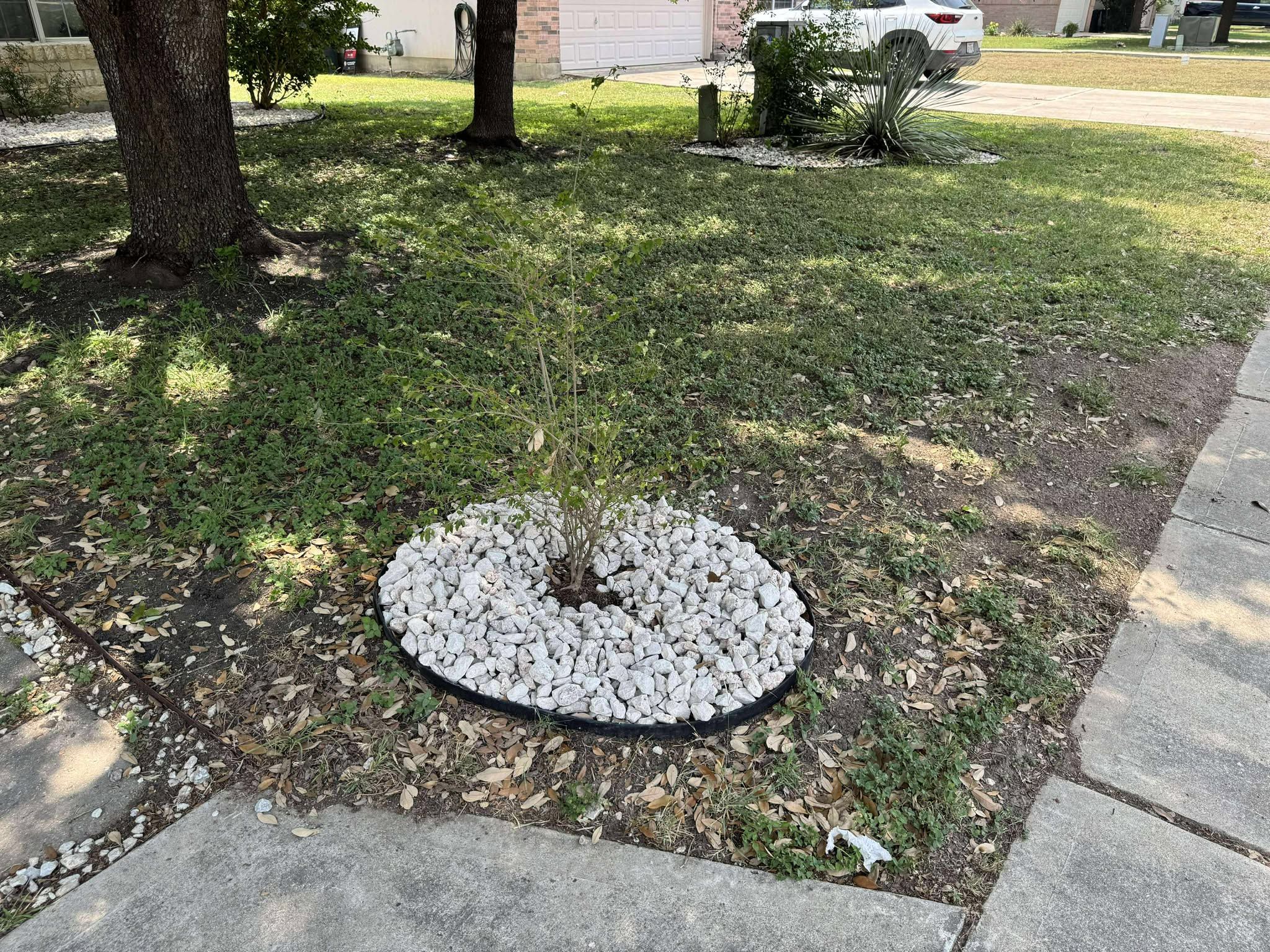 All Photos for Fresh Yards Landscaping in Austin, Texas