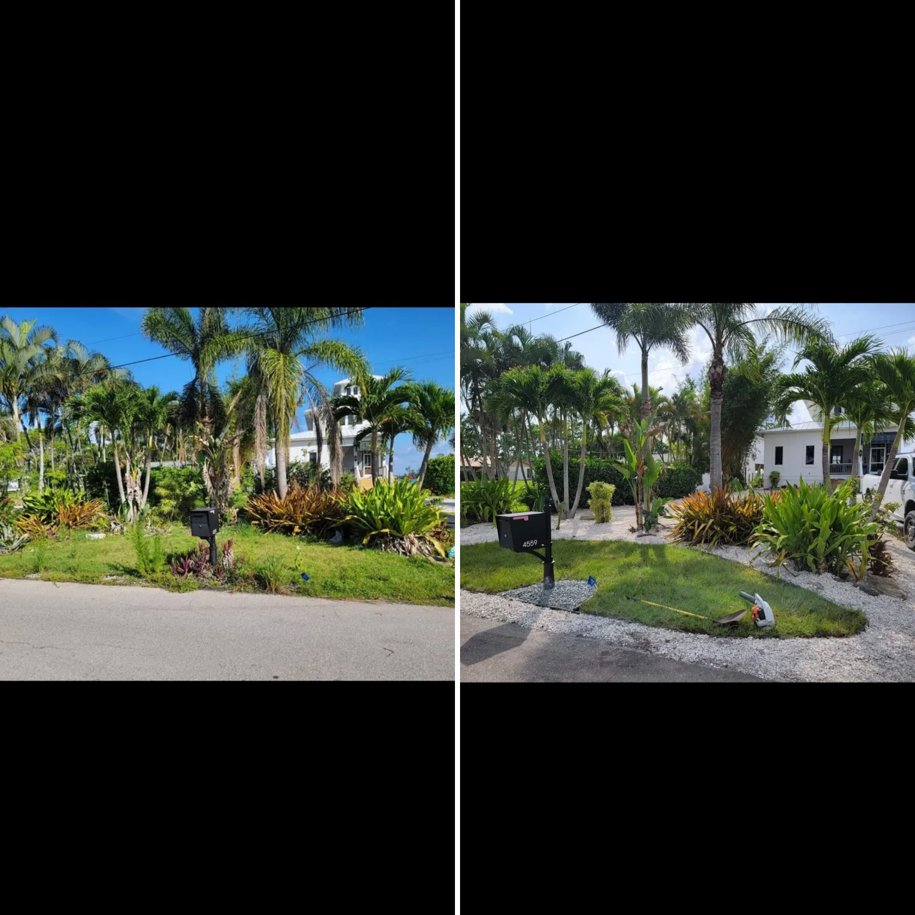 All Photos for Advanced Landscaping Solutions LLC in Fort Myers, FL