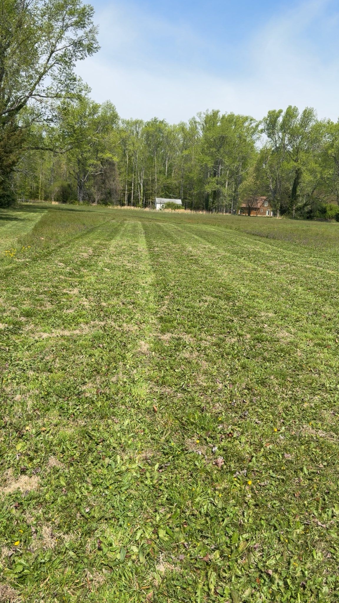 All Photos for Grassworks Lawn And Landscaping in Callao, VA