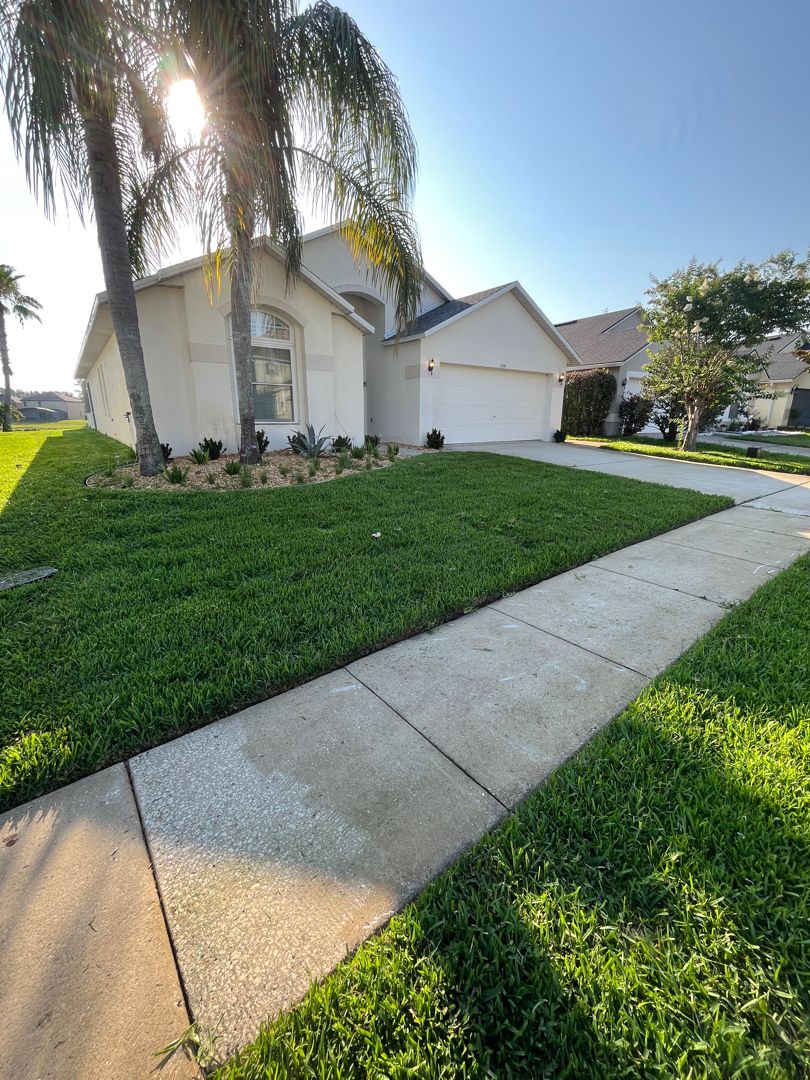 Tree Removal for Ludlows Services in Davenport, FL