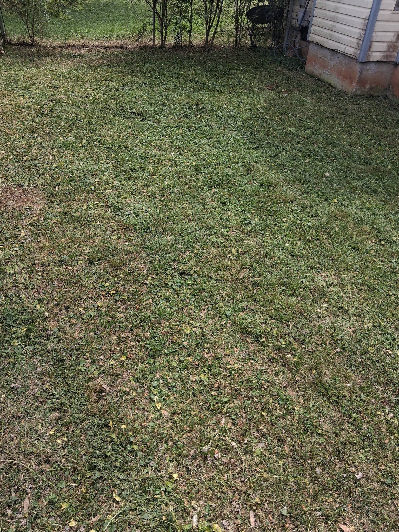  for Big C Land Management in Anniston, AL