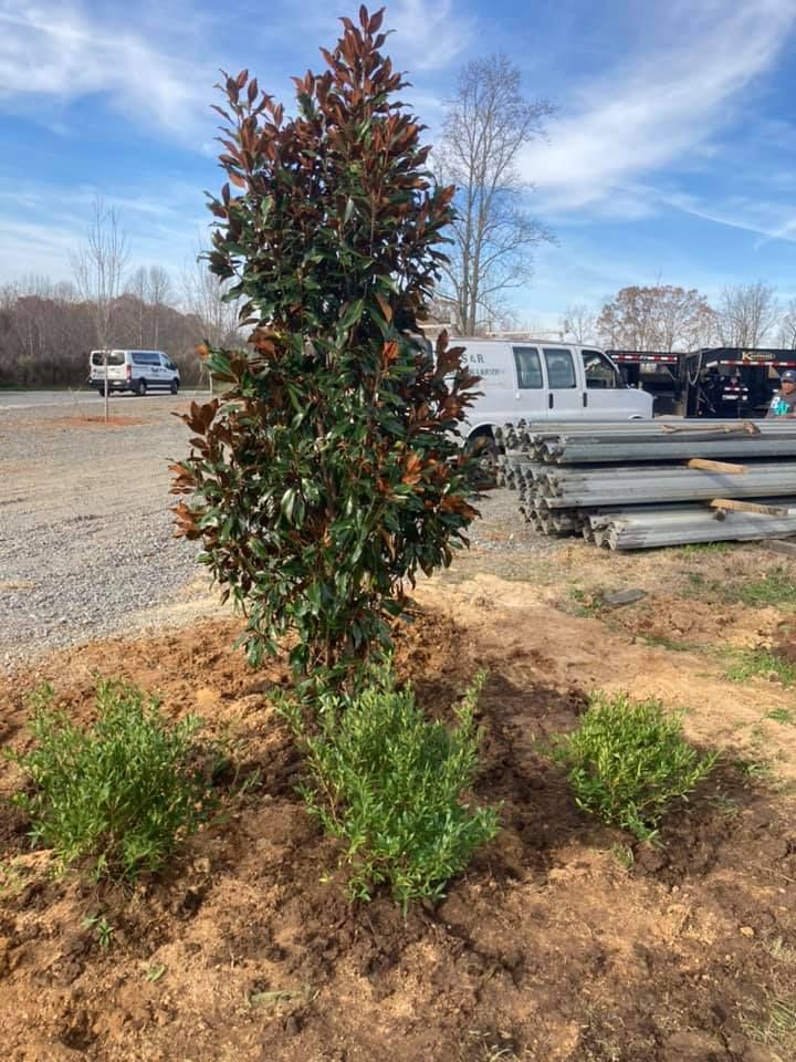 All Photos for S&R Landscaping and Nursery in Charlotte, NC