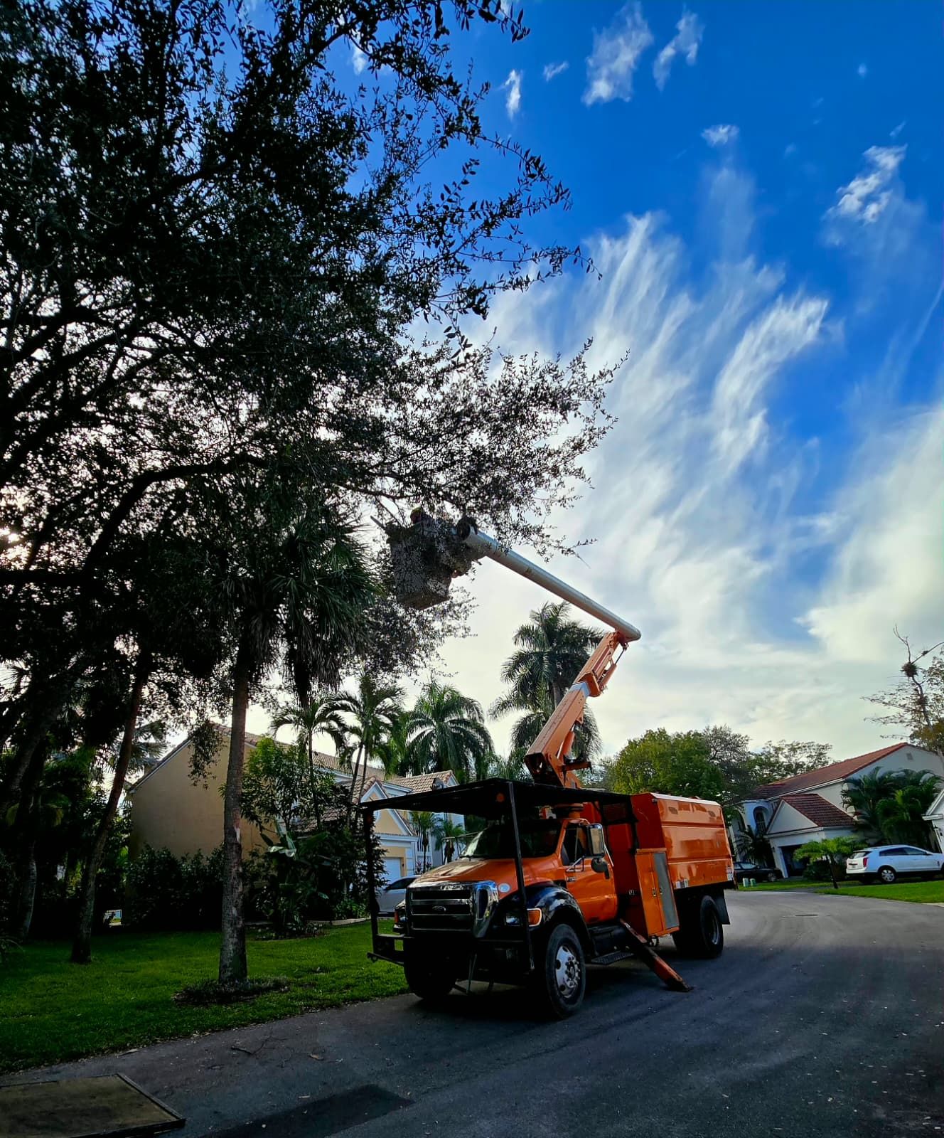  for Bridgewater Arbor Care LLC in Jupiter, FL