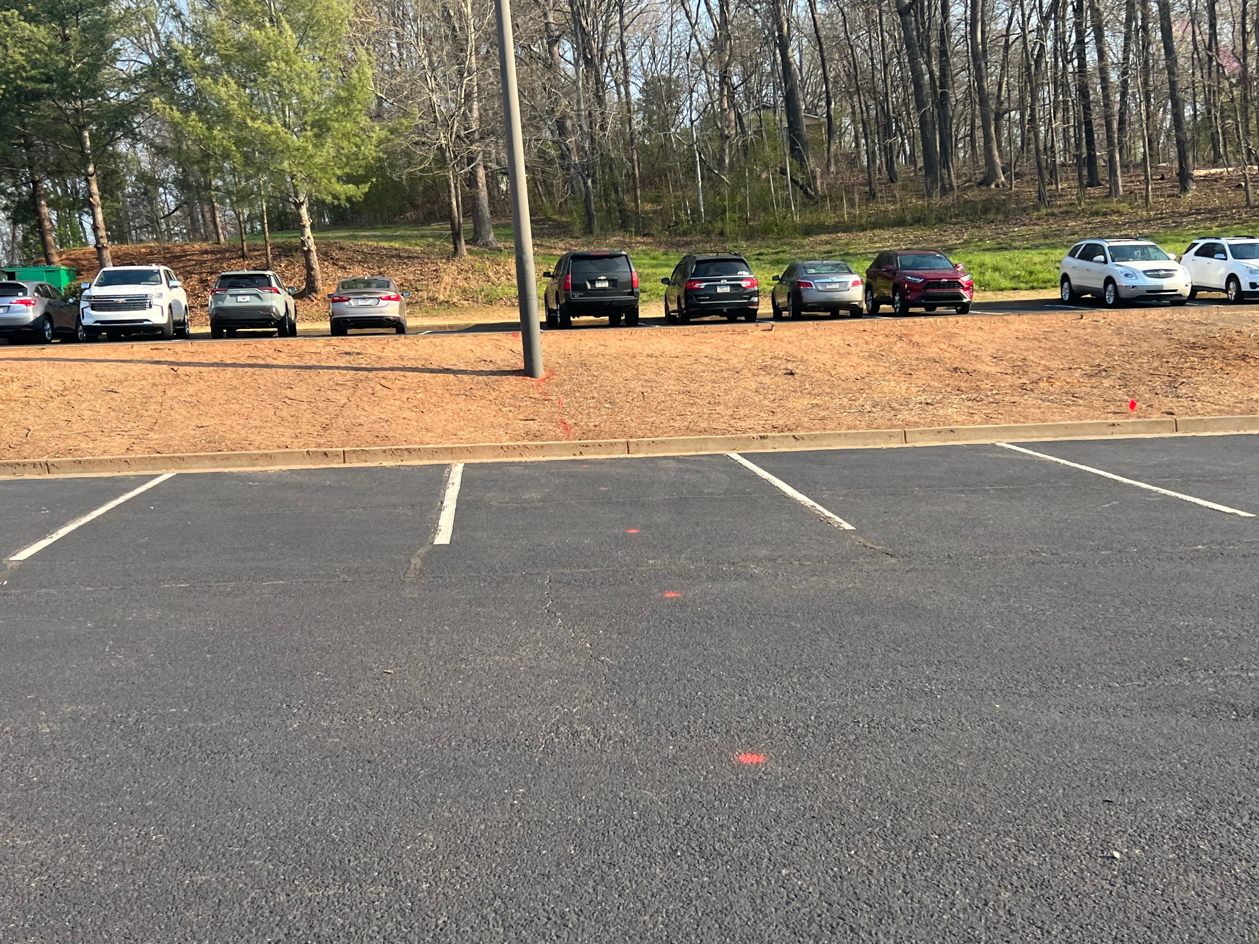 All Photos for Amerigreen Lawn & Landscape in Duluth, GA