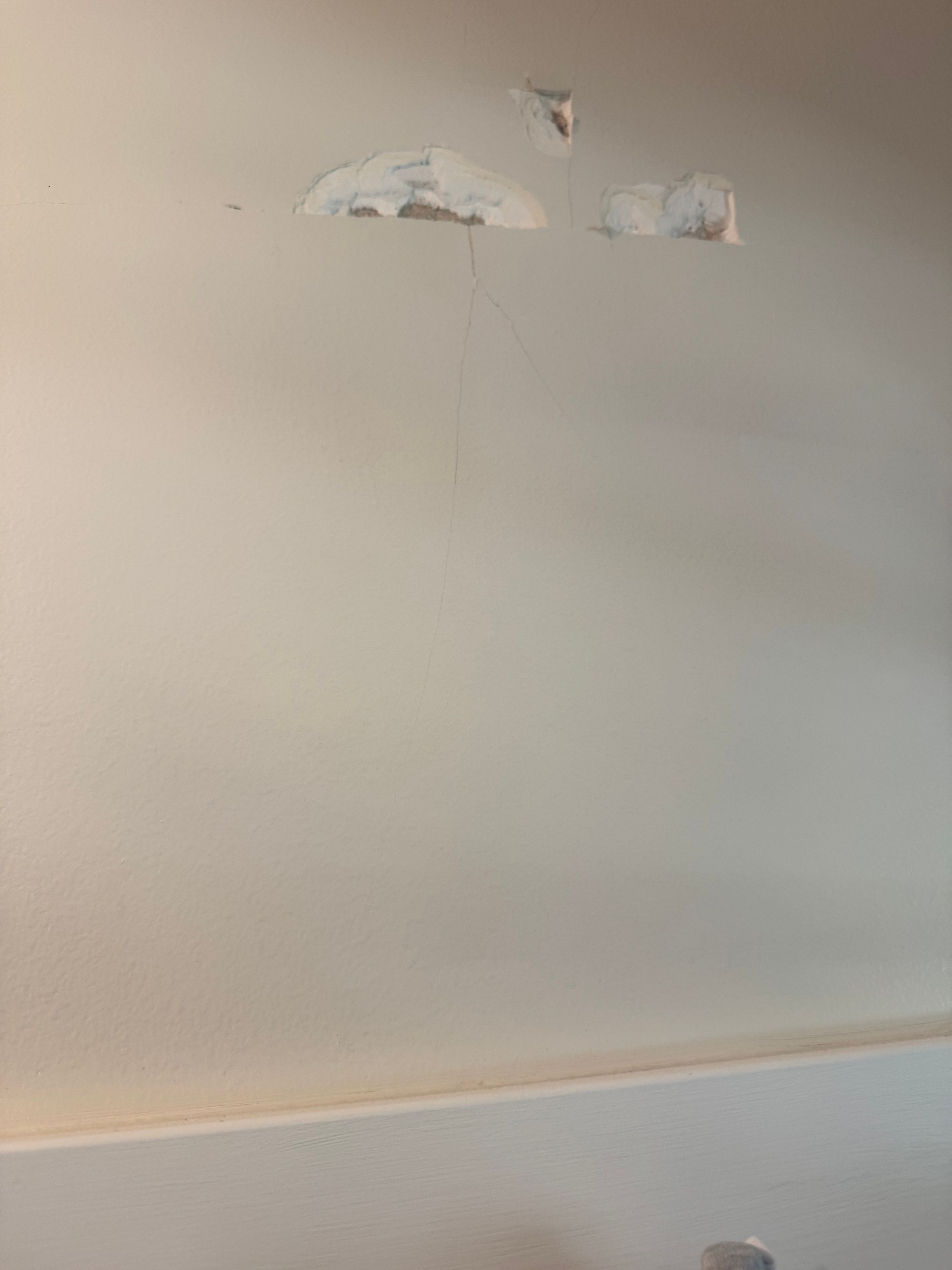  for Patch Pros LLC in Denver, CO