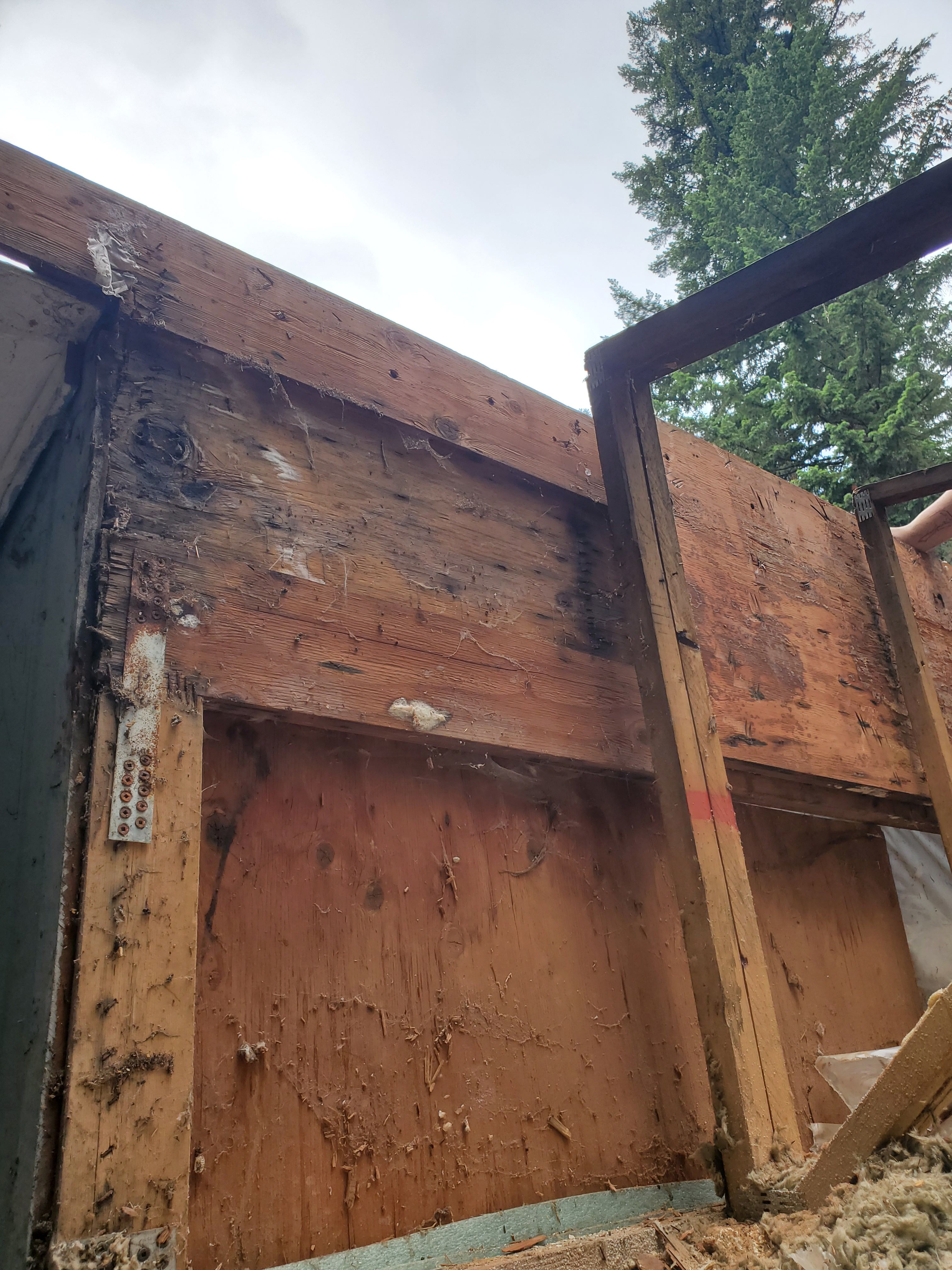  for Home Pros in Maple Falls, WA