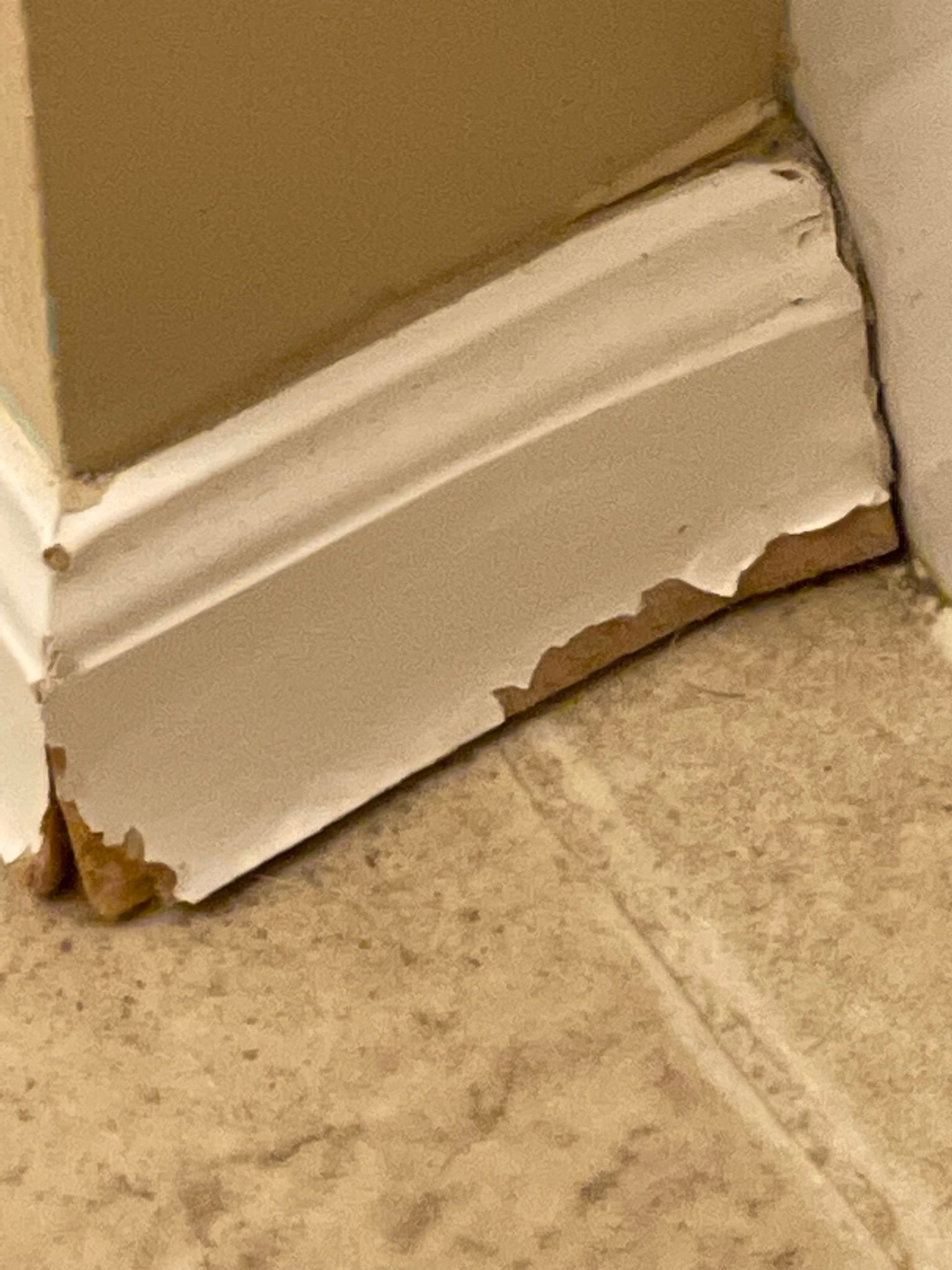  for Tony's Remodeling & Painting in Renton, WA