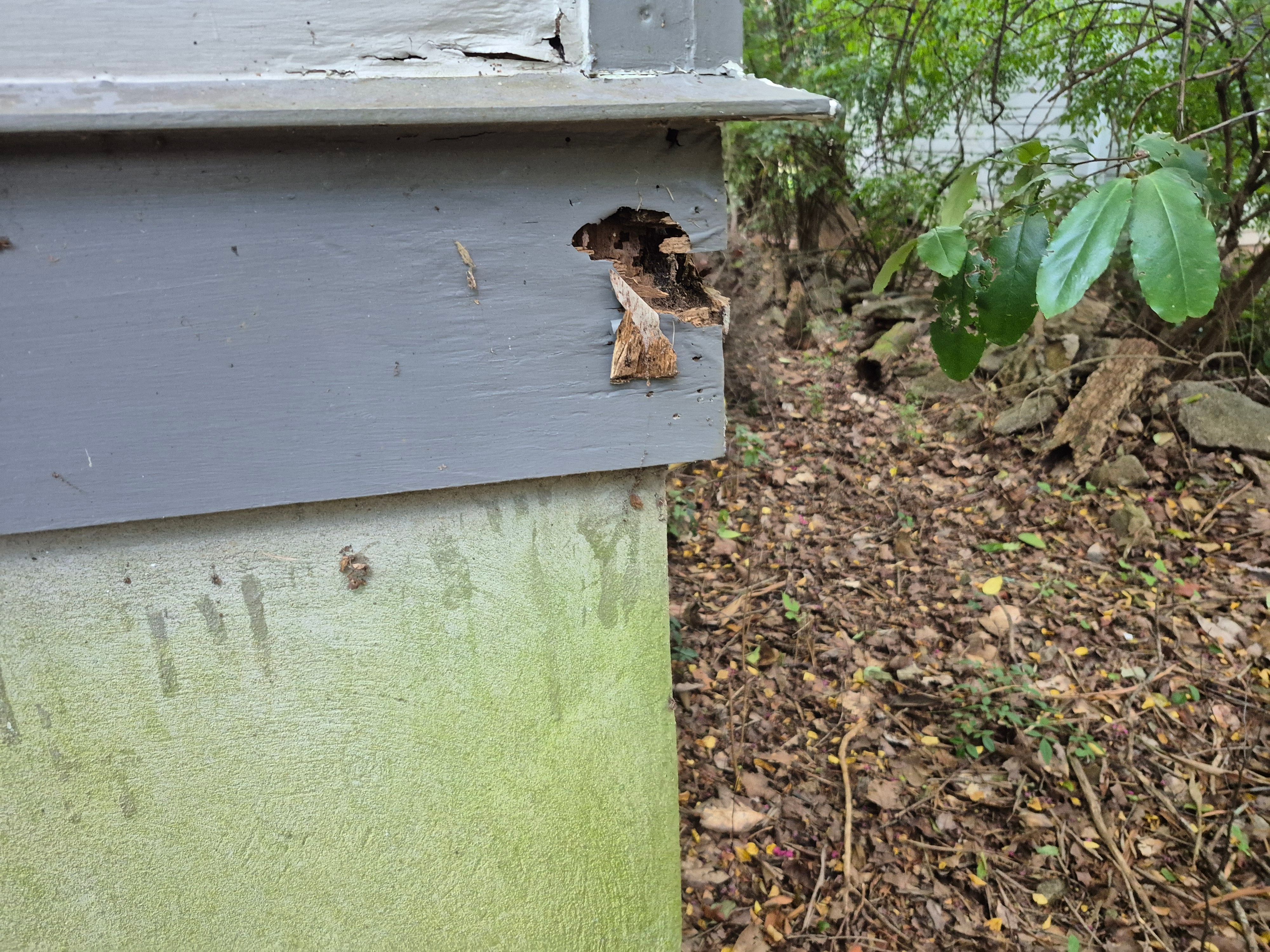  for SBCW Construction in Flowery Branch, GA