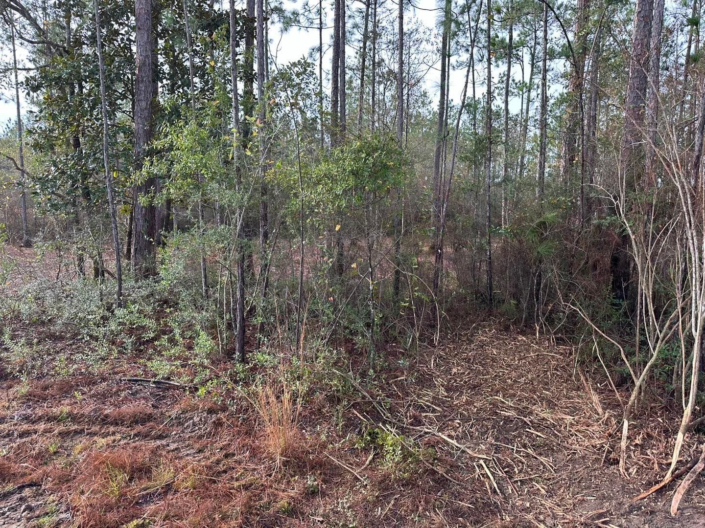 All Photos for White’s Land Maintenance in Milton,, FL