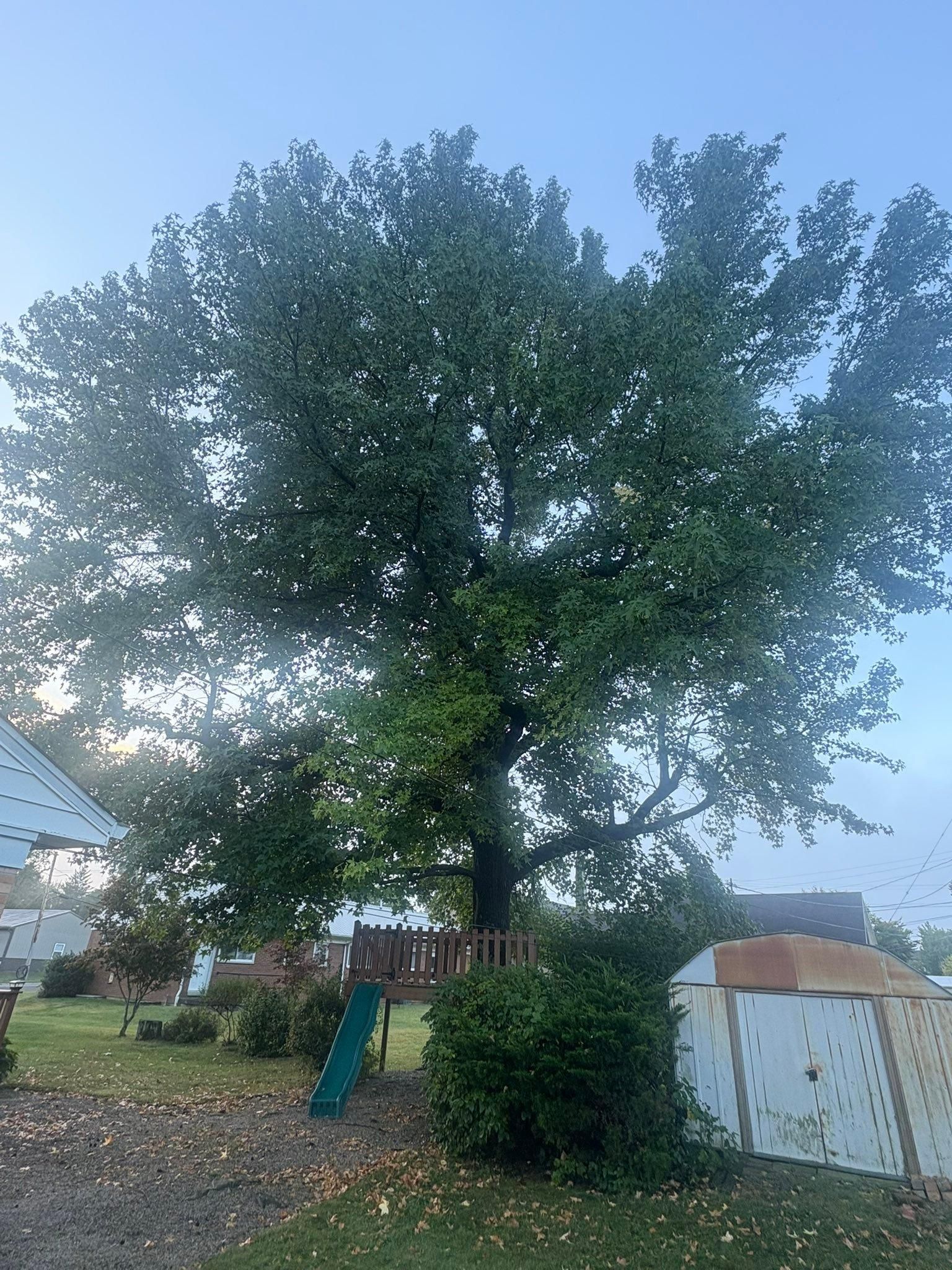  for Dig-It Tree Company in , 