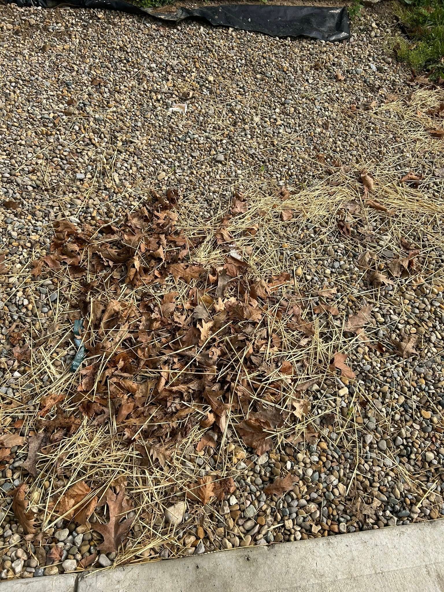  for Plenty Landscaping Solutions in Indianapolis, IN