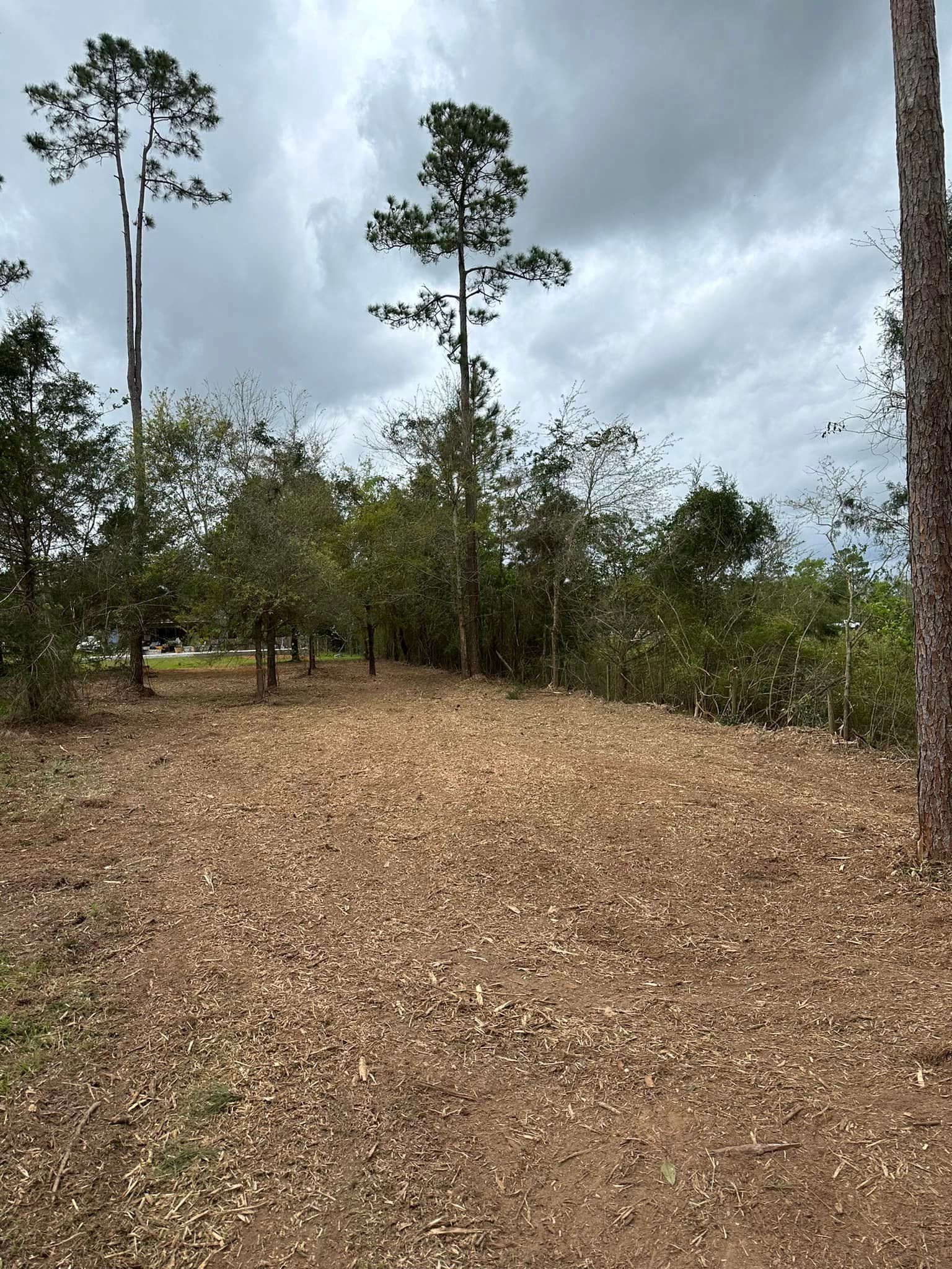 All Photos for White’s Land Maintenance in Milton,, FL