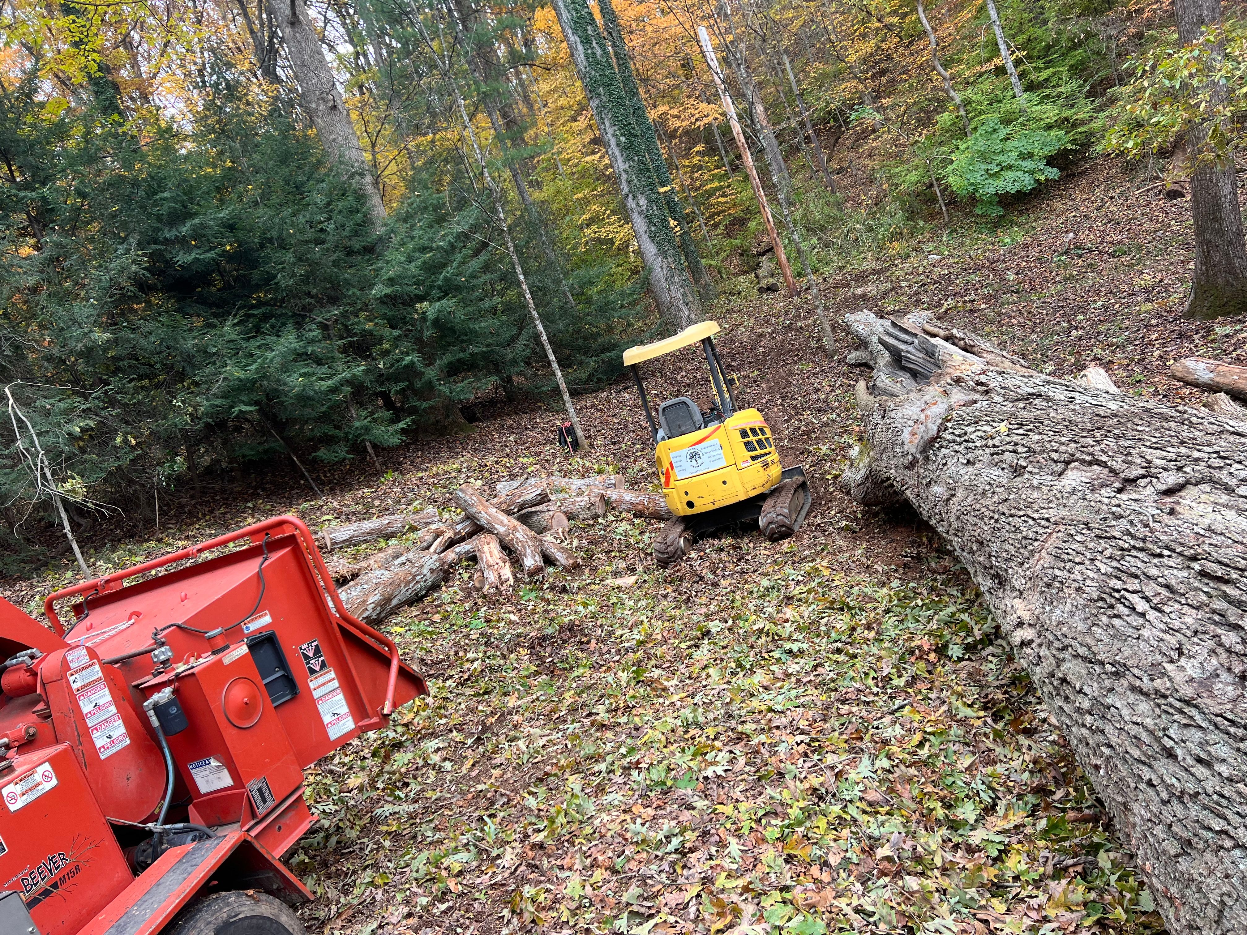  for Ground To Sky Tree Care in Asheville, North Carolina