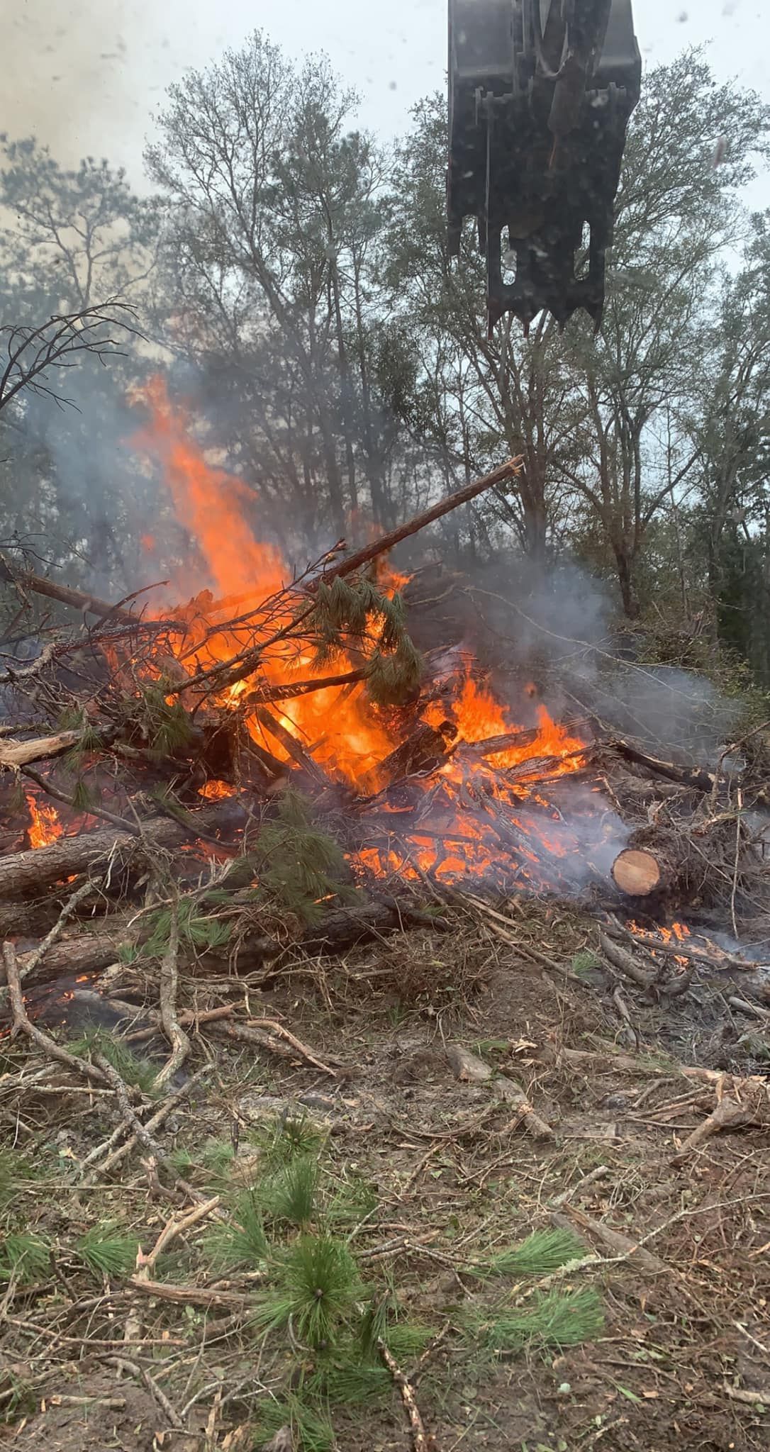  for Wilson’s Excavation & Land Clearing in Greenville, FL