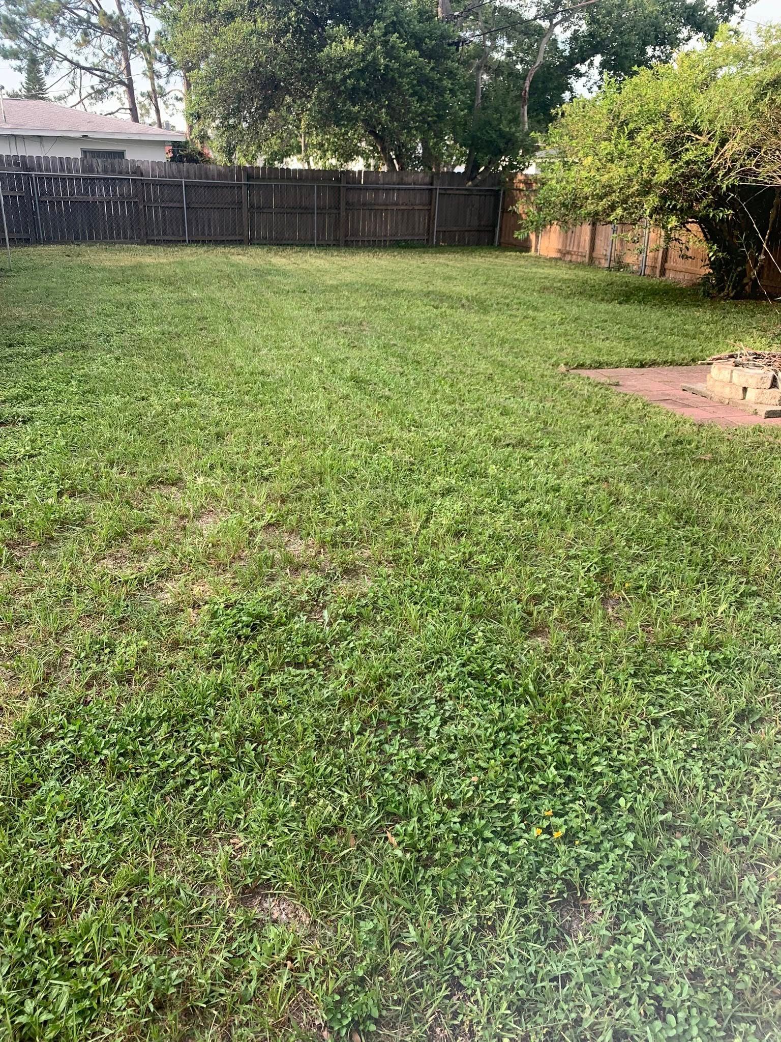  for Mitchell Lawn Service in Odessa, FL