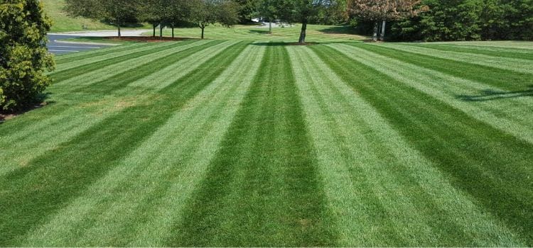  for Jacks Lawn & Landscape LLC  in Hastings, NE